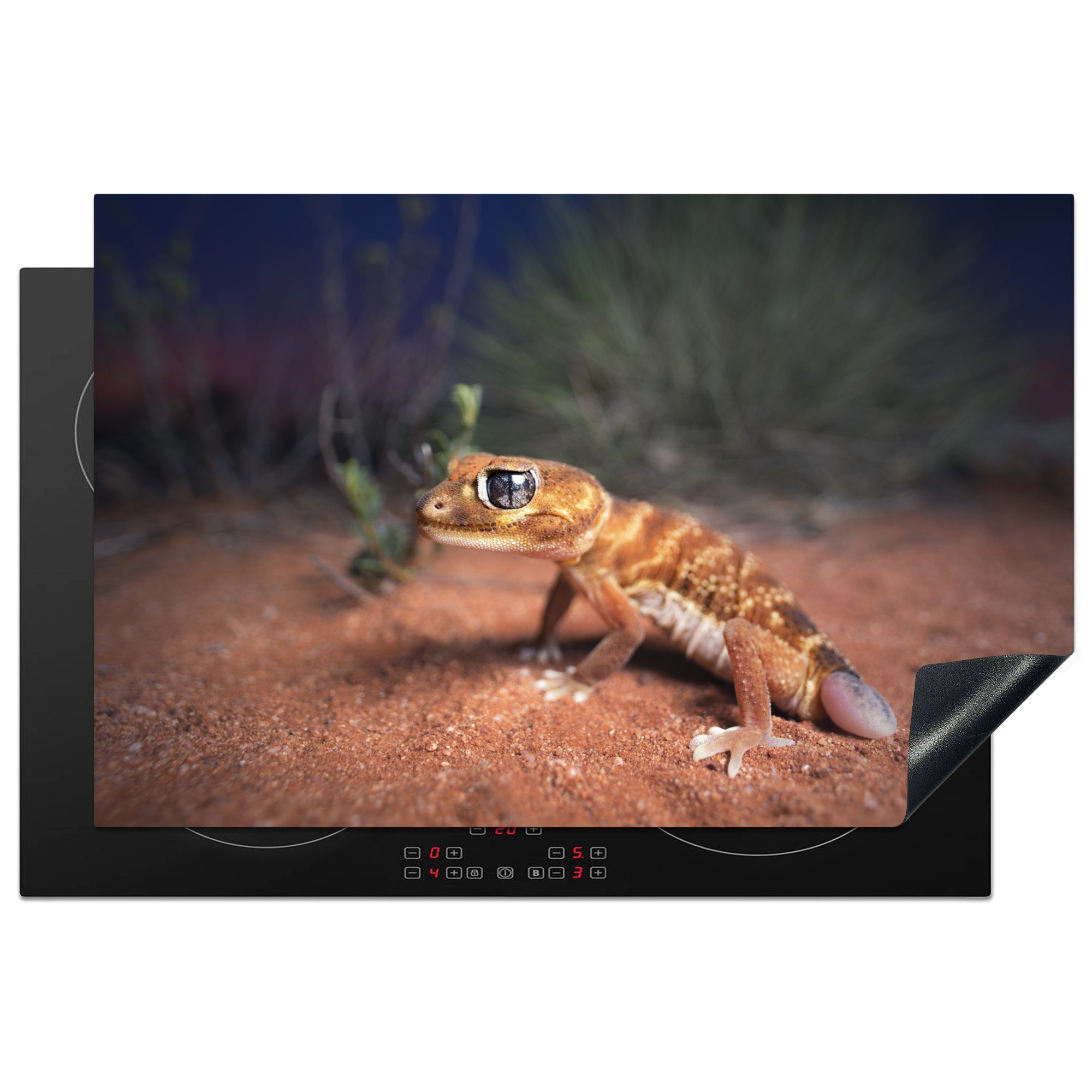 MuchoWow Sand, für Induktionskochfeld Schutz küche, die Gecko Jung Ceranfeldabdeckung - Herdblende-/Abdeckplatte Vinyl, tlg), cm, 81x52 (1 -