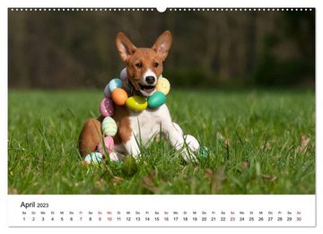 CALVENDO Wandkalender Süße Basenji-Kinder (Premium, hochwertiger DIN A2 Wandkalender 2023, Kunstdruck in Hochglanz)