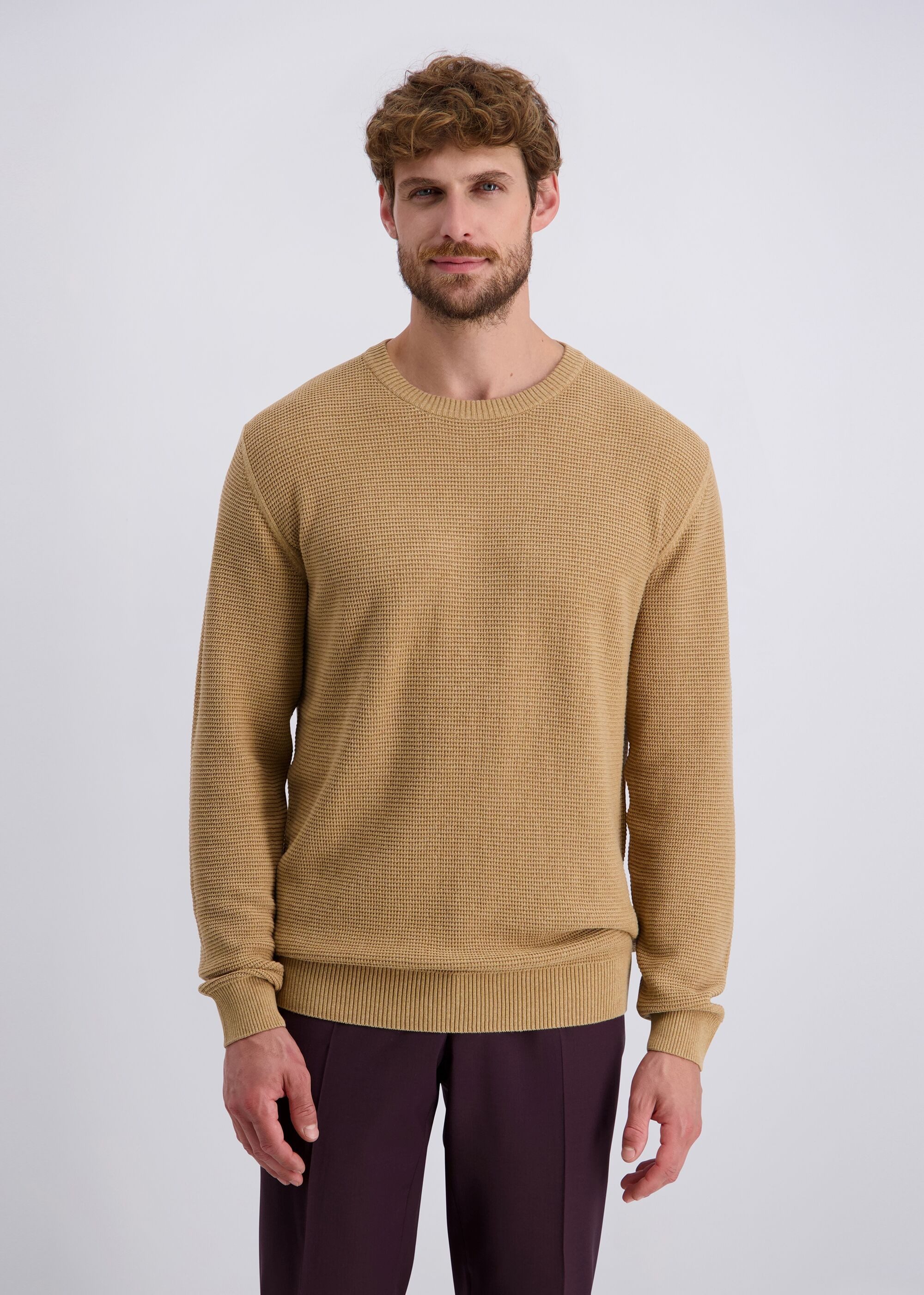 Pierre Cardin Rundhalspullover mit Rundhalsausschnitt