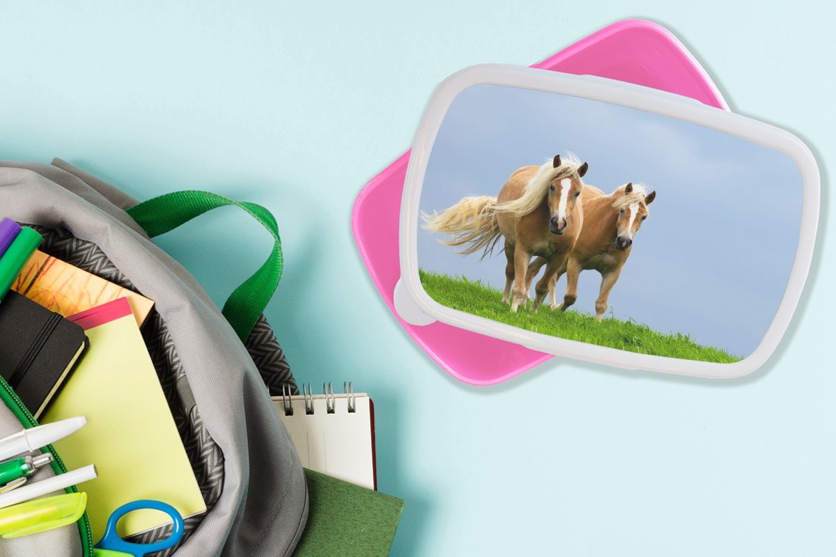 Snackbox, - Lunchbox für Gras Brotbox Brotdose - MuchoWow Luft, Kinder, Kunststoff Kunststoff, (2-tlg), Pferde Mädchen, Erwachsene, rosa