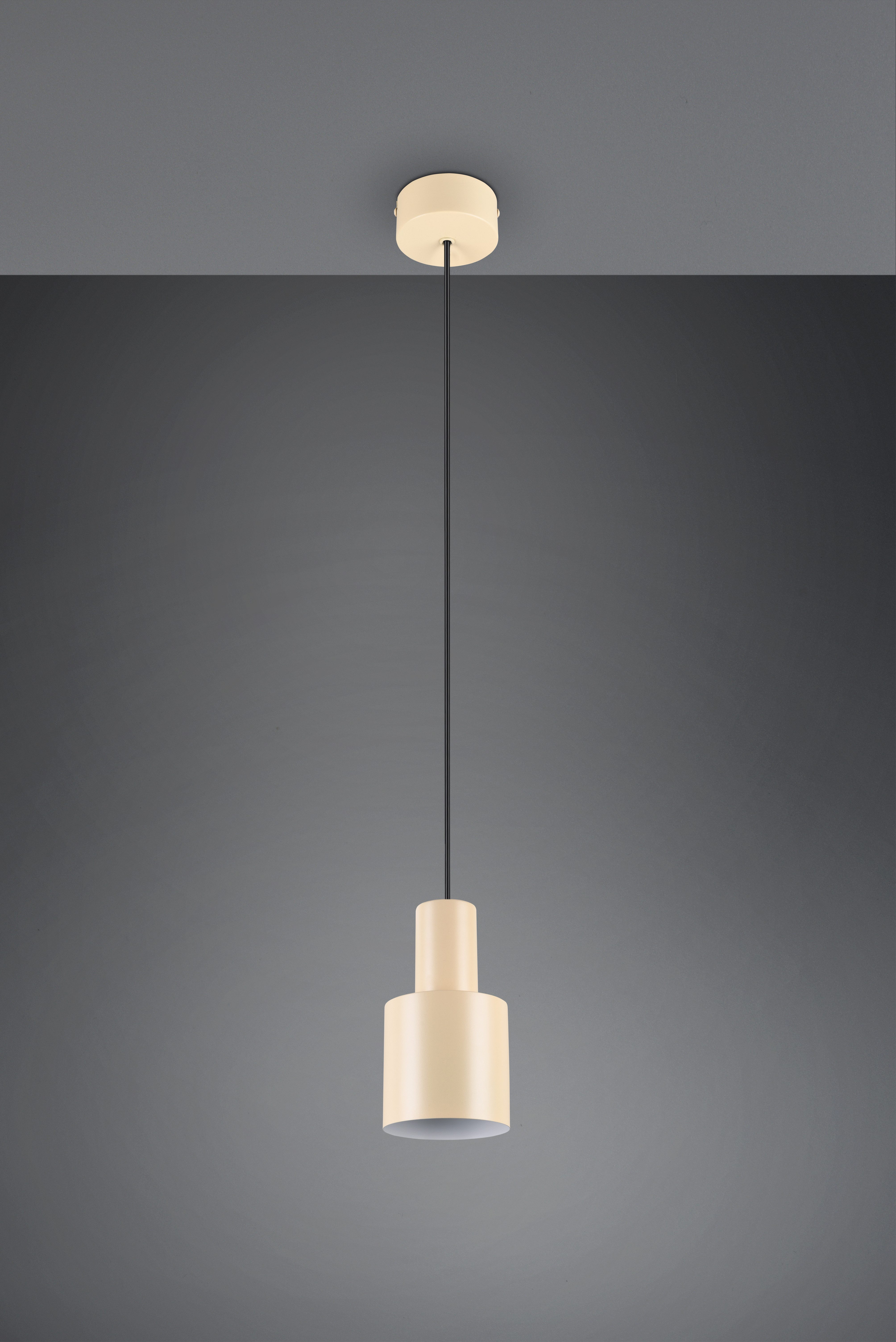 TRIO Leuchten Pendelleuchte AGUDO, Hängelampe 1-flammig, exkl 1xE27 max 10W, höhenverstellbar, Leuchtmittel wechselbar, warmweiß - kaltweiß, Hängelampe Ø 12cm, bis max 150cm Abhängung, Küche Esszimmer Wohnzimmer