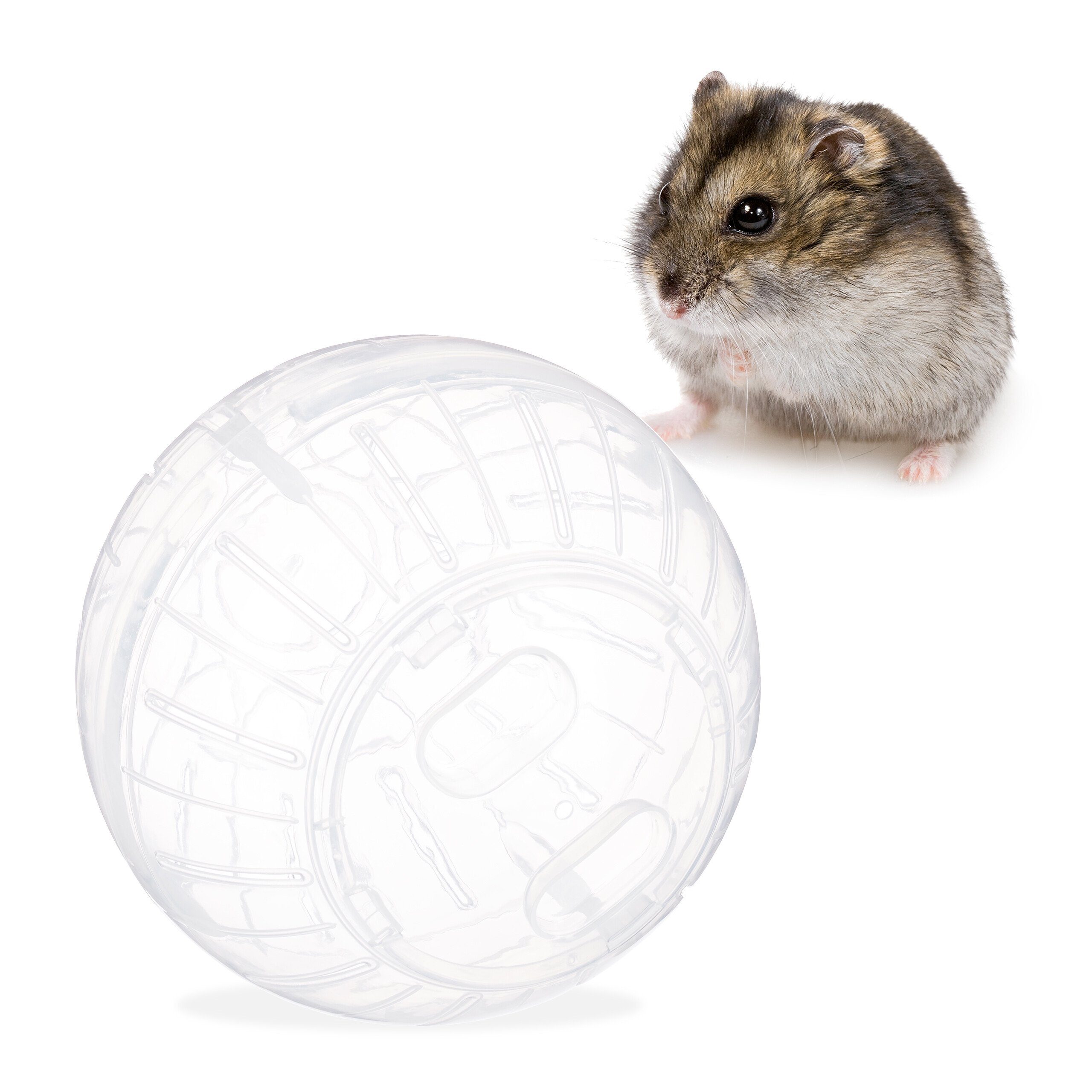 relaxdays Tierball Hamsterball transparent, Kunststoff | Sportbälle