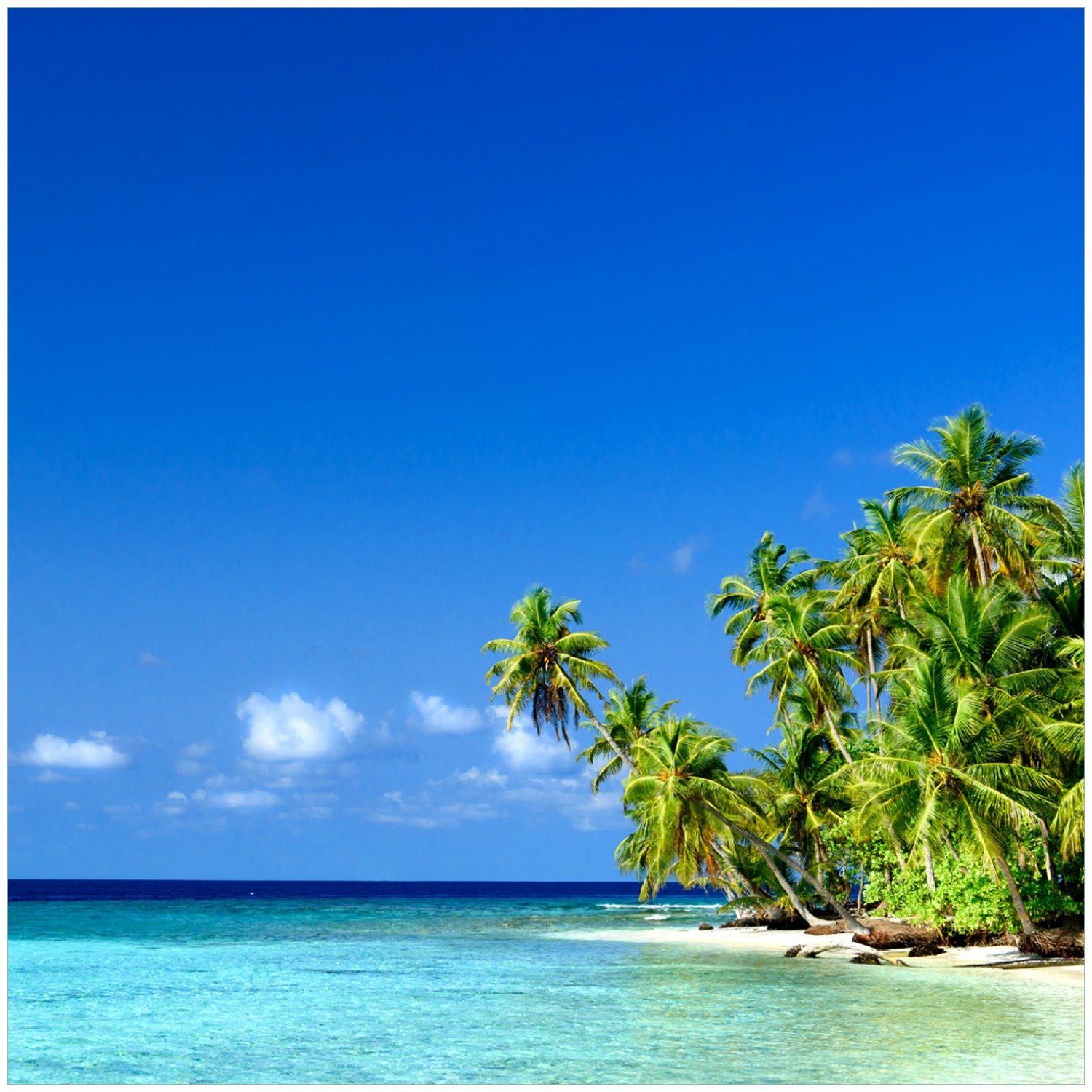 Wallario Memoboard Blauer Himmel weißer Strand Palmen und das tiefblaue Meer | Wandtafeln