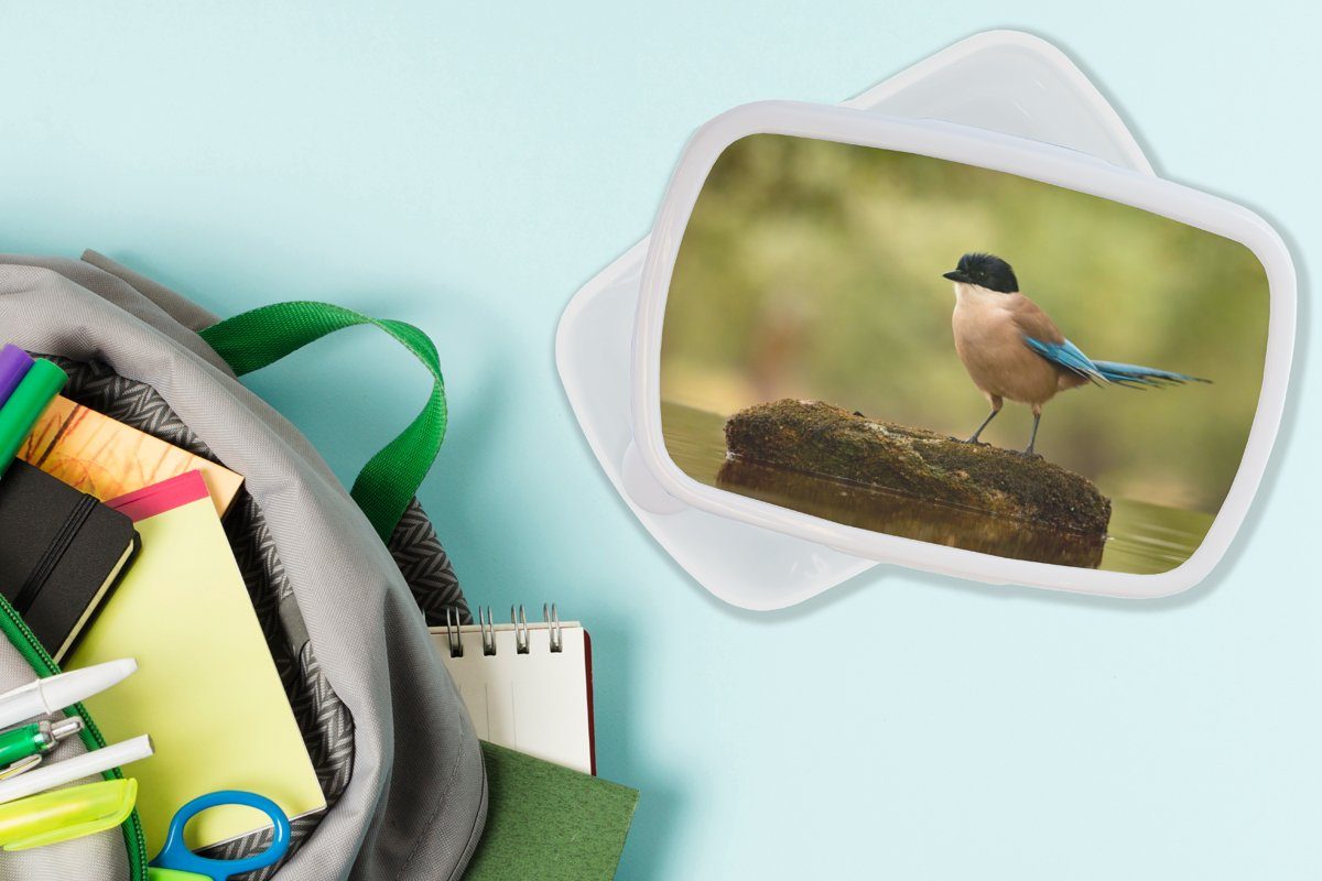MuchoWow Lunchbox Elster - Vogel Mädchen Moos, - Brotdose, und weiß Kunststoff, für für Erwachsene, und Kinder (2-tlg), Brotbox Jungs
