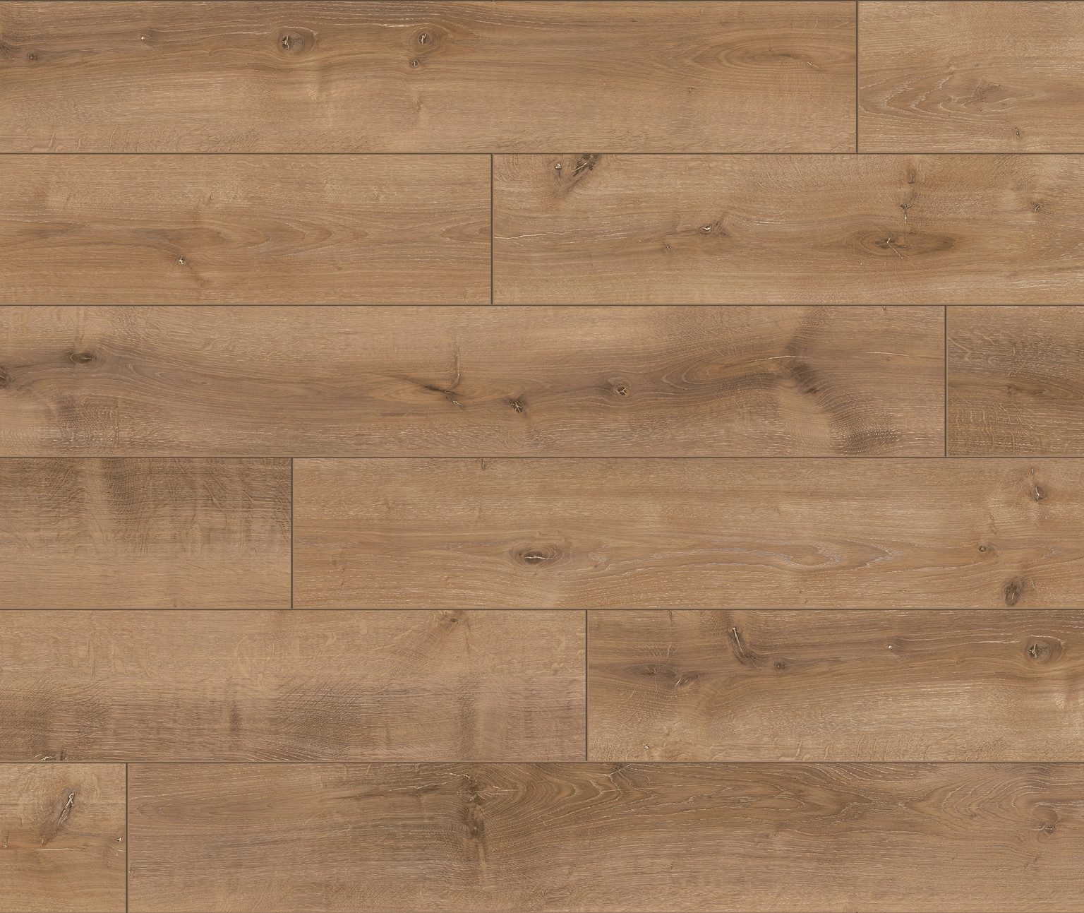 PARADOR Laminat PARADOR Laminat Classic 1050 – 8 mm, PARADOR Laminat Classic 1050: 8 mm