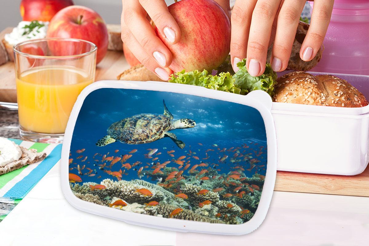 weiß für und Schildkröte, Jungs Lunchbox Mädchen (2-tlg), und Brotbox MuchoWow Kunststoff, Kinder Erwachsene, mit für Brotdose, Korallenriff