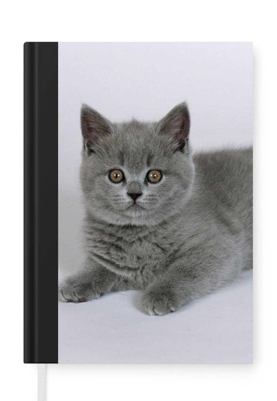 MuchoWow Notizbuch Liegendes Britisch-Kurzhaar-Kätzchen, Journal, Merkzettel, Tagebuch, Notizheft, A5, 98 Seiten, Haushaltsbuch