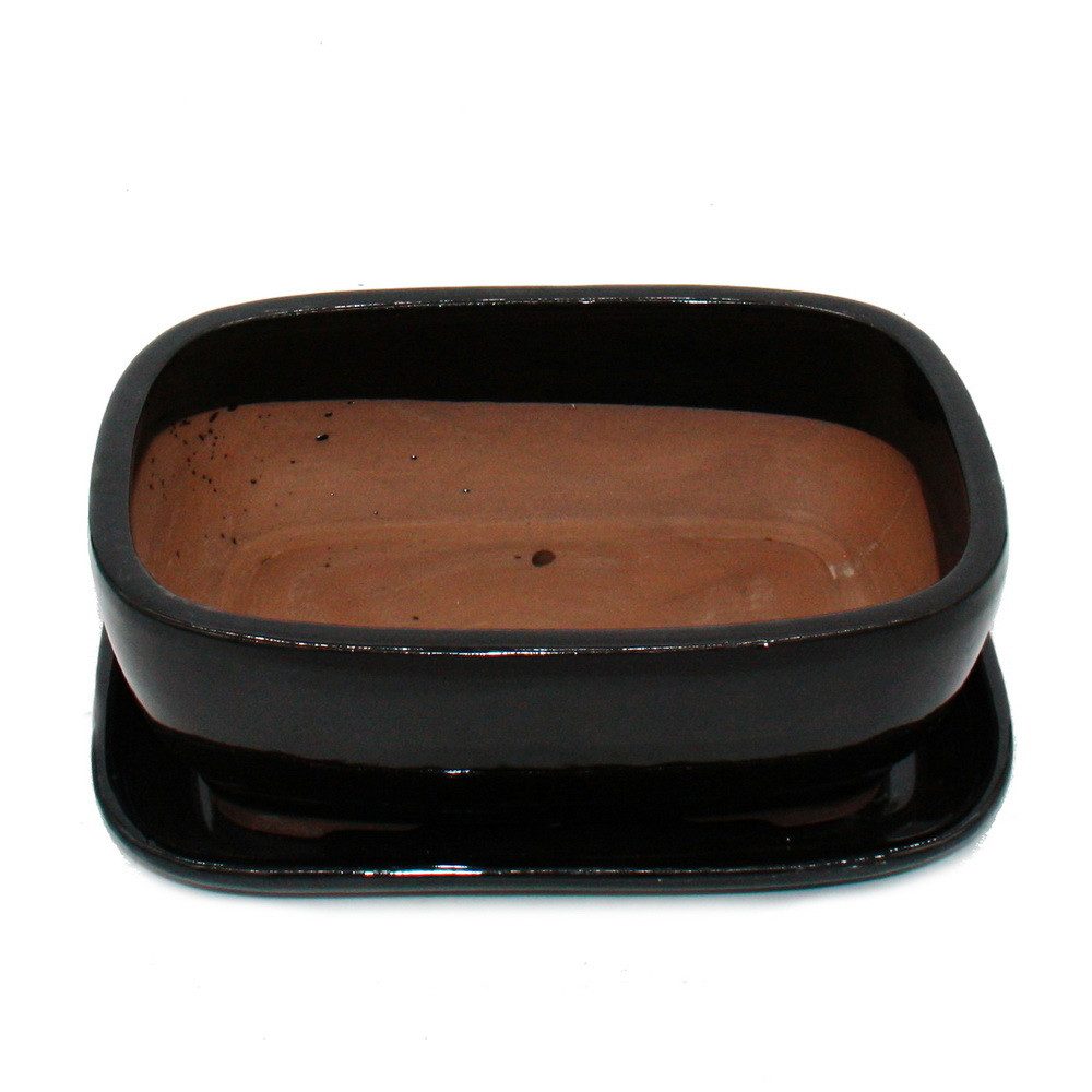 Exotenherz Pflanzschale Bonsai-Schale Unterteller Gr.4 Schwarz günstig online kaufen