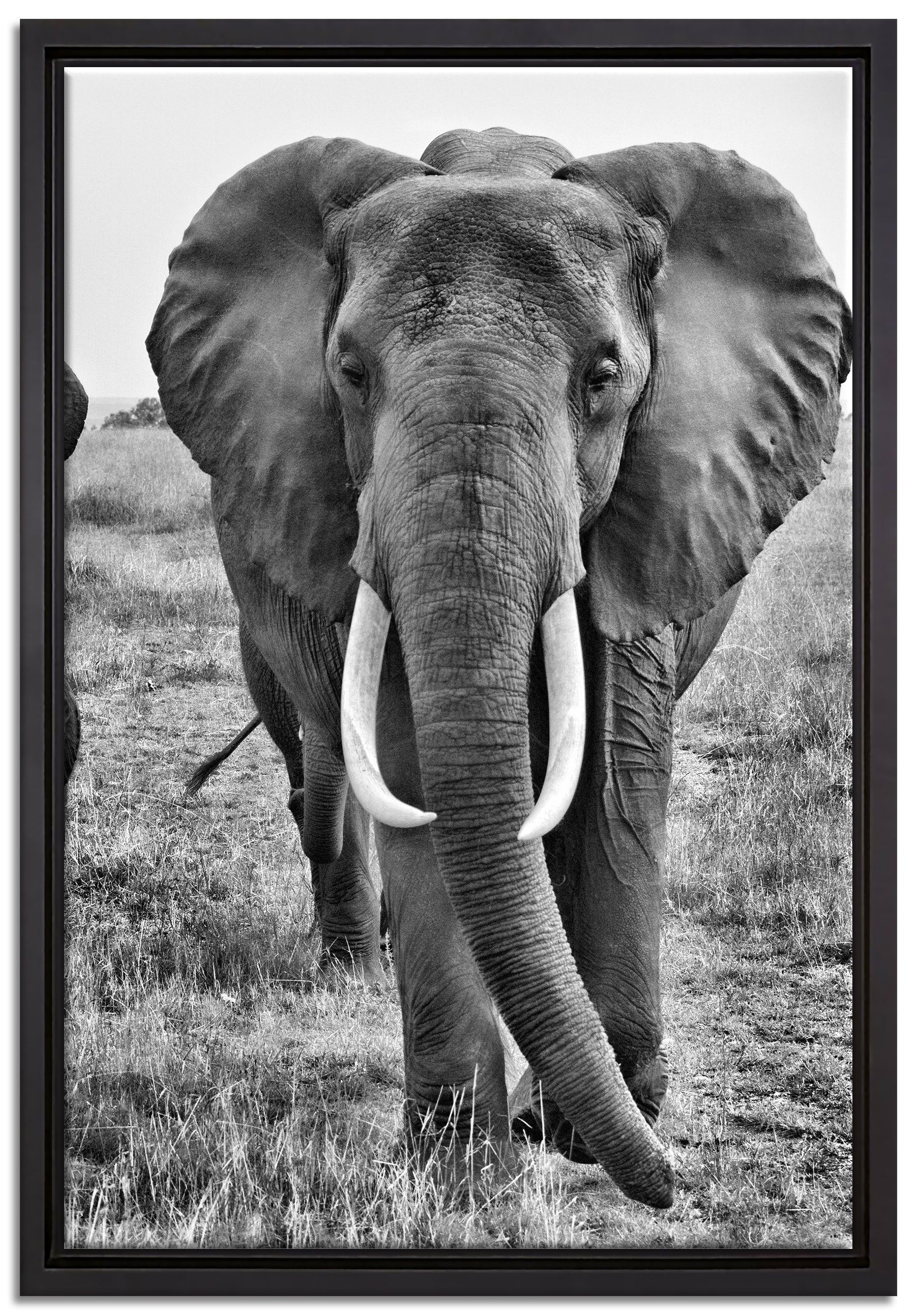 Pixxprint Leinwandbild große wandernde Elefantenhorde, Wanddekoration (1 St), Leinwandbild fertig bespannt, in einem Schattenfugen-Bilderrahmen gefasst, inkl. Zackenaufhänger
