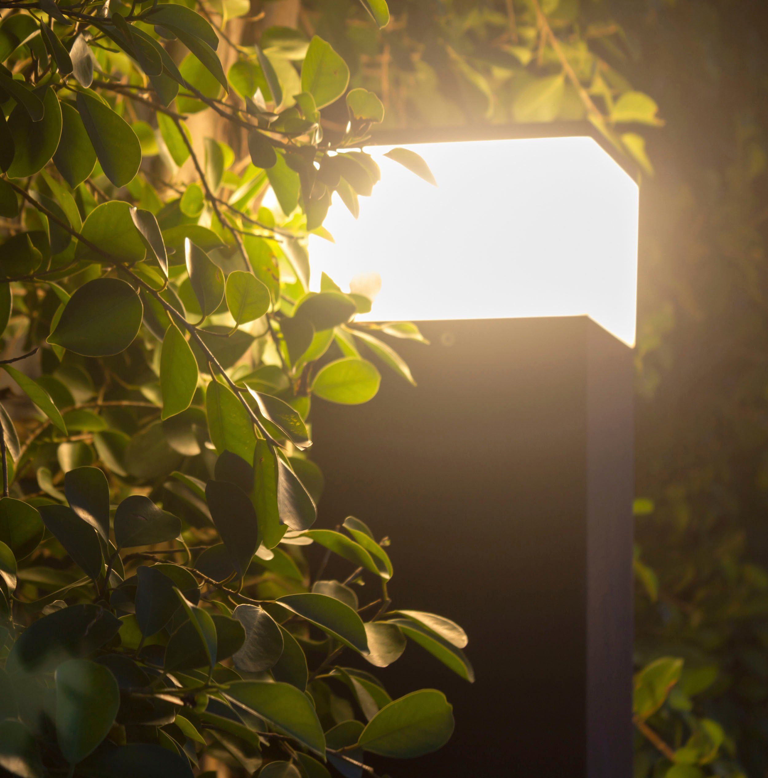 näve LED Sockelleuchte Vigo, warmweiß LED fest Höhe: Terrasse, Warmweiß, Außenleuchte, 50 cm, integriert, LED anthrazit