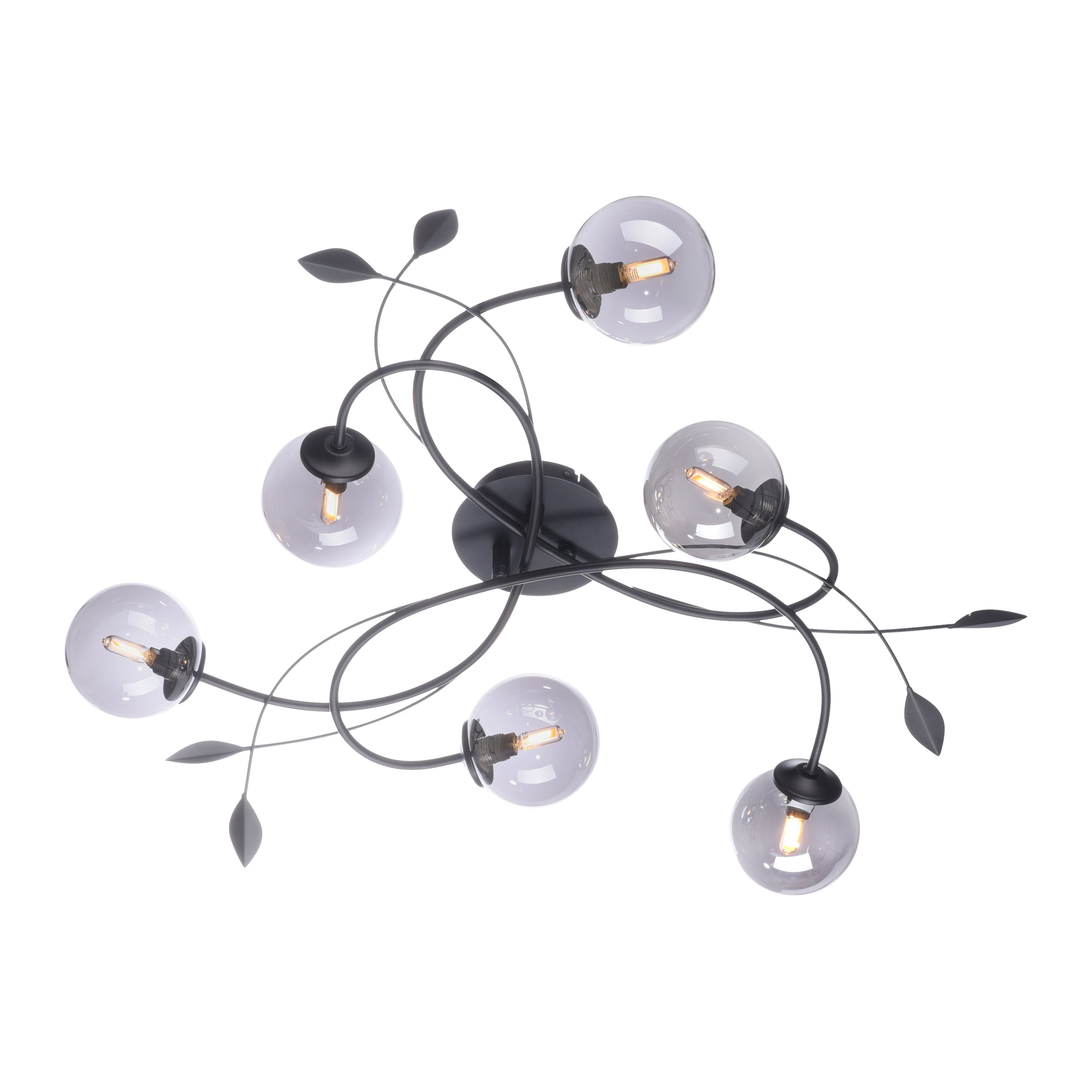 Paul Neuhaus LED Deckenleuchte WIDOW, LED wechselbar, Warmweiß, LED,  Schlichte, schwarze Rauchgläser