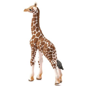 Sarcia.eu Spielfigur Schleich Wild Life - Junge Giraffe, Figur für Kinder 3+