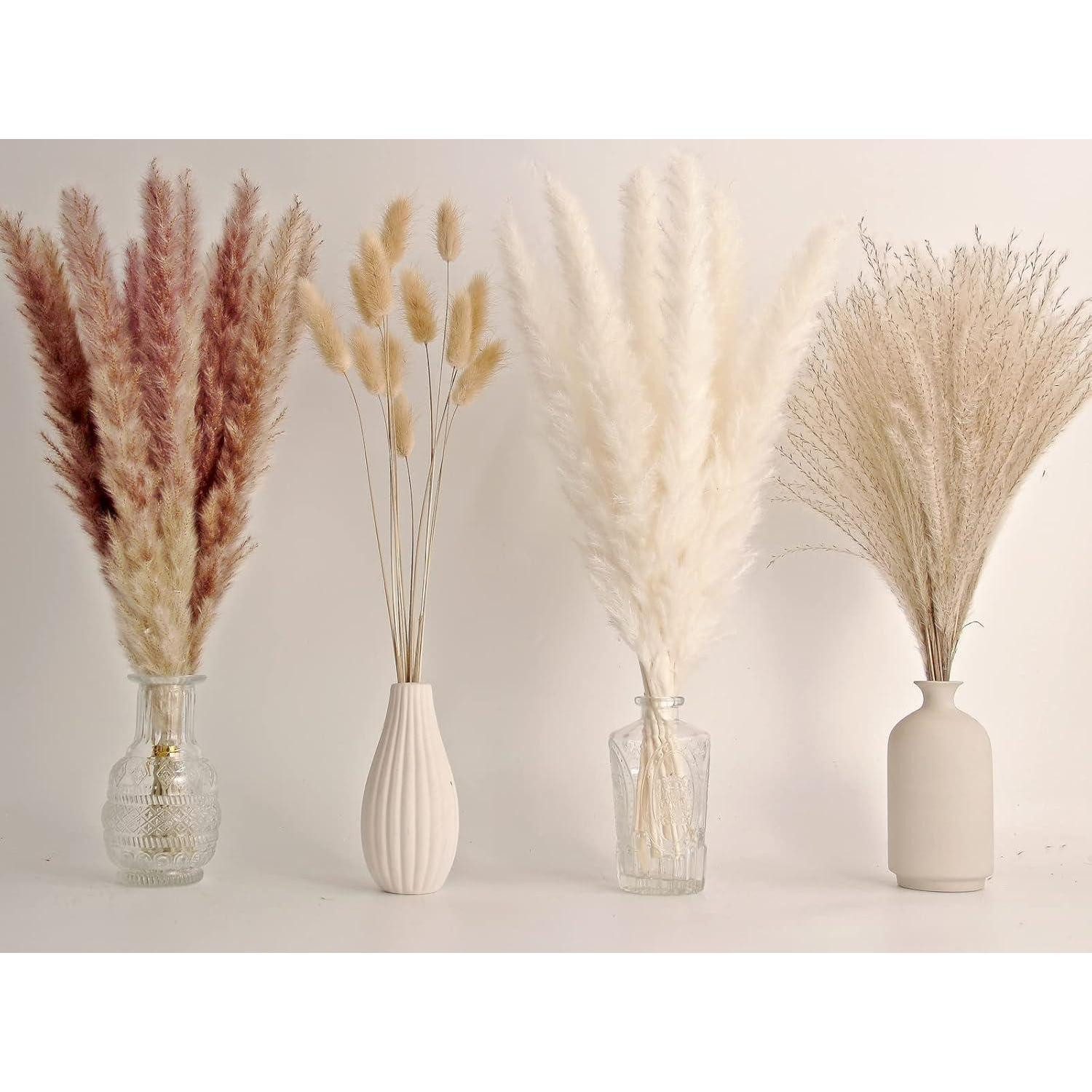 Trockenblume 65 STK. Natürliche Pampasgras-Bouquets für Boho-Hochzeits- und, LuxusKollektion