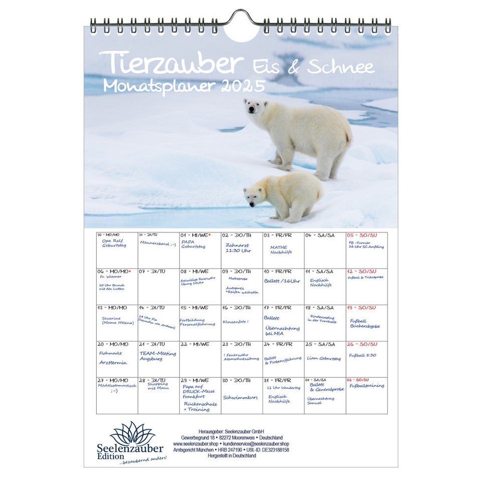 Seelenzauber Wandkalender Tierzauber Eis und Schnee Wand Planer