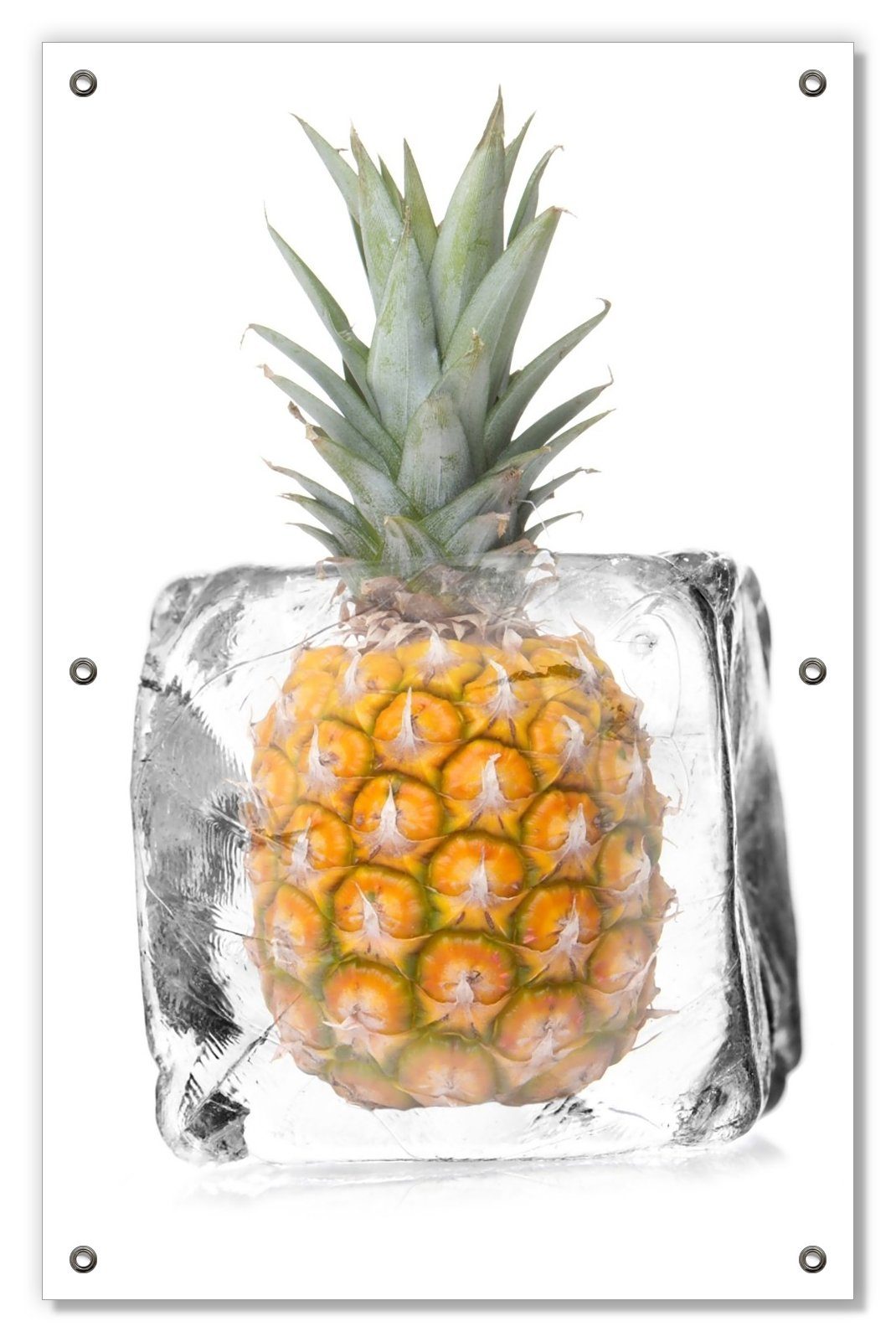 Sonnenschutz Ananas in Eiswürfel - wiederablösbar Eiskaltes blickdicht, mit und wiederverwendbar Saugnäpfen, Obst, Wallario