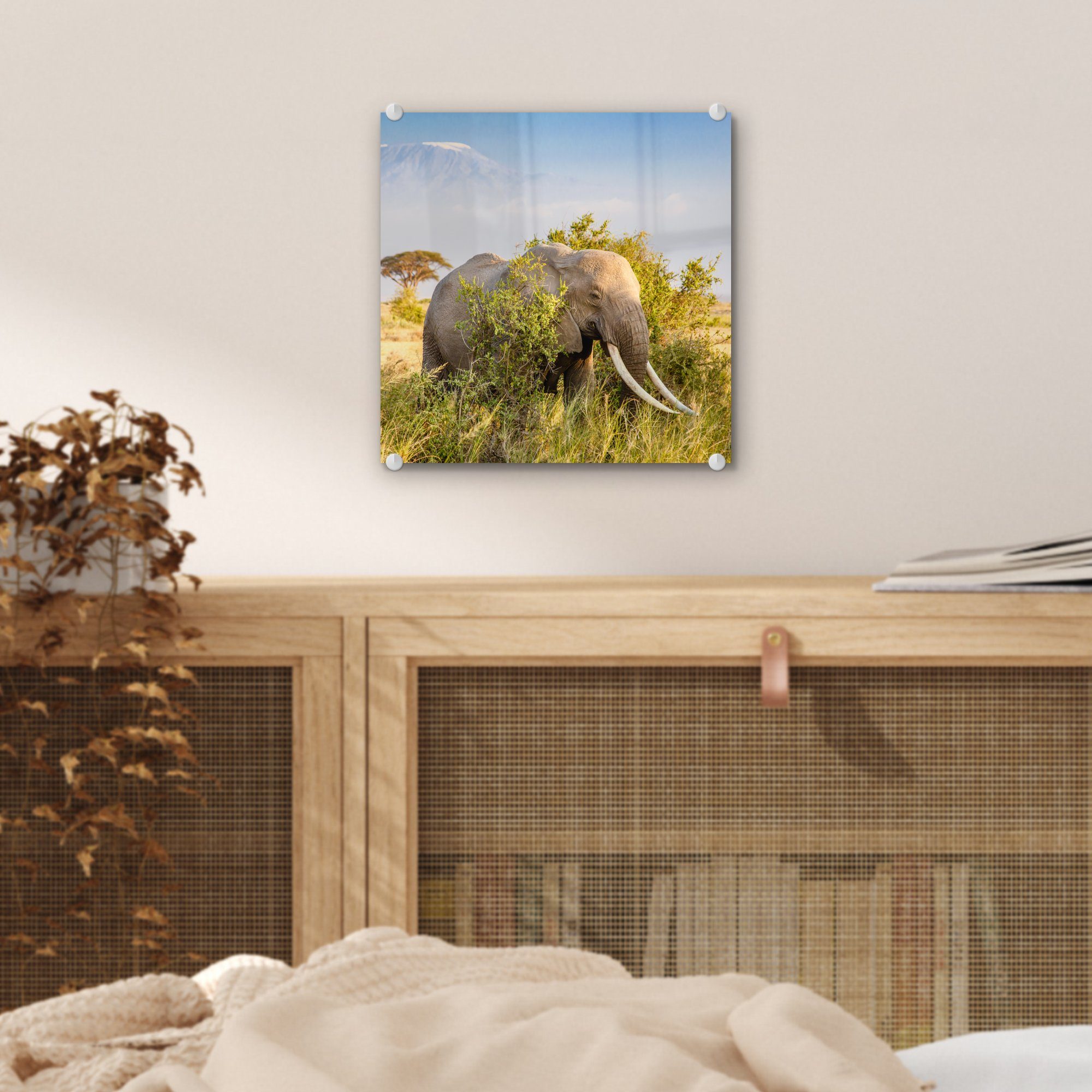 Glas Glasbilder Grün - - - Foto Elefant Tiere auf - - Wandbild - Gras Berg, Acrylglasbild auf MuchoWow (1 Wanddekoration St), Bilder Glas -