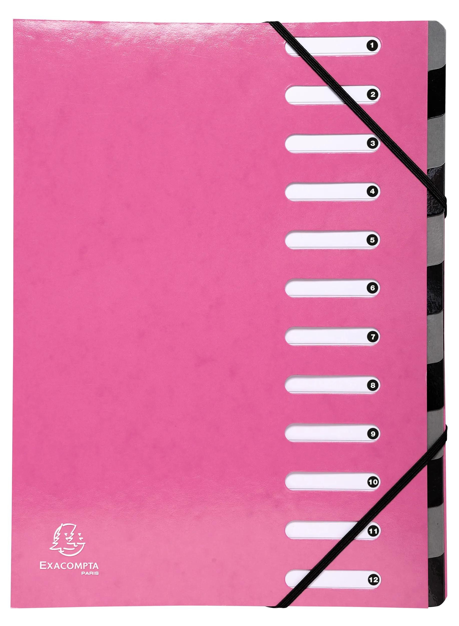 EXACOMPTA Fächermappe 6x Ordnungsmappe Harmonika dehnbar Karton 12 Fächer Rosa 53928E, Deckel Manila dehnbare Ordnungsmappe