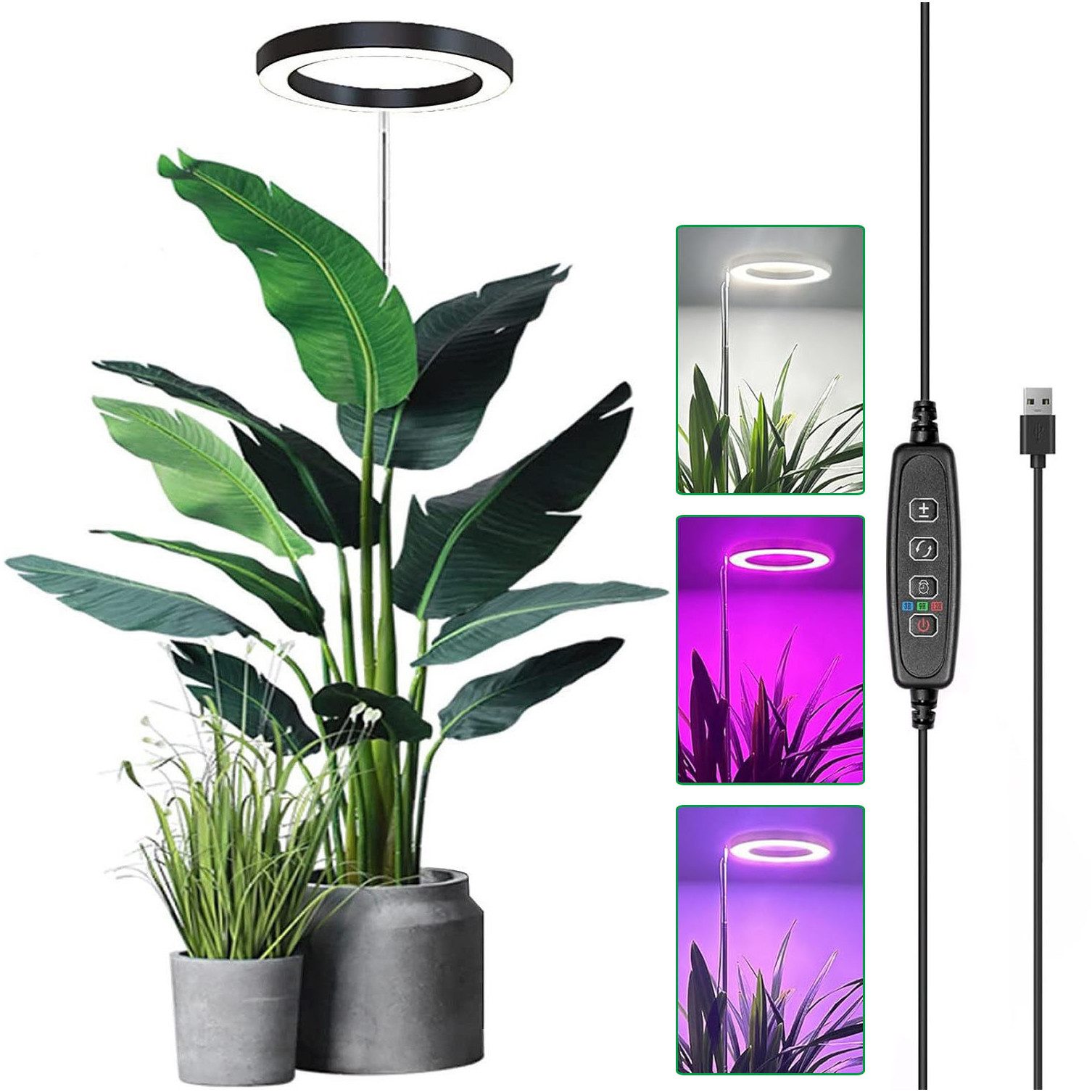 Jibenhome Pflanzenlampe LED Vollspektrum Pflanzenlicht für Zimmerpflanzen, Höhenverstellbares, mit Zeitschaltuhr 3/9/12 Std, USB, 3 Lichter Modi und 10 Helligkeit