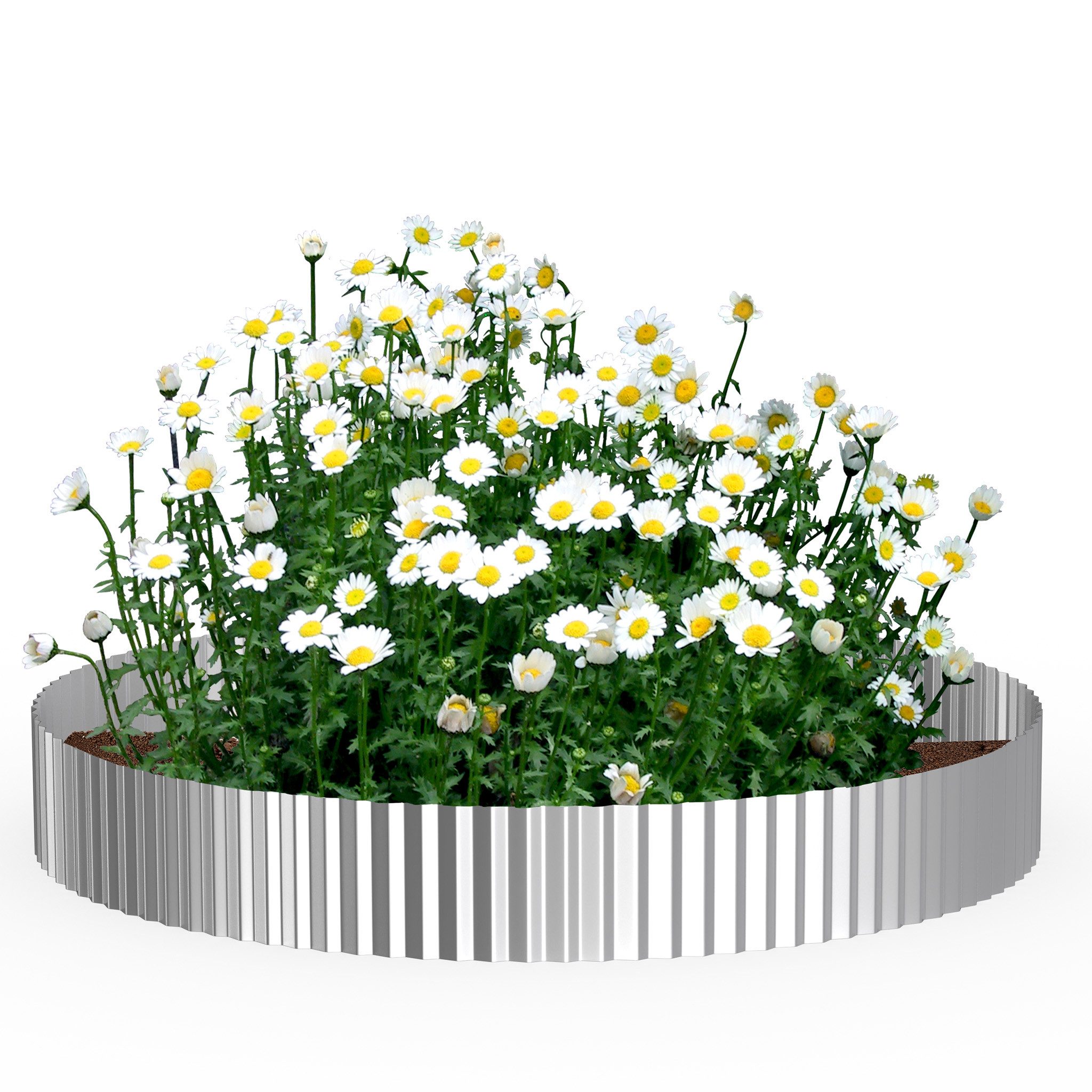 FIVMEN Beetumrandung Rasenkante 5m/10m Beetbegrenzung aus Metall Beeteinfassung, Wellig, 15cm/18 Hoch, Silber/Schwarz