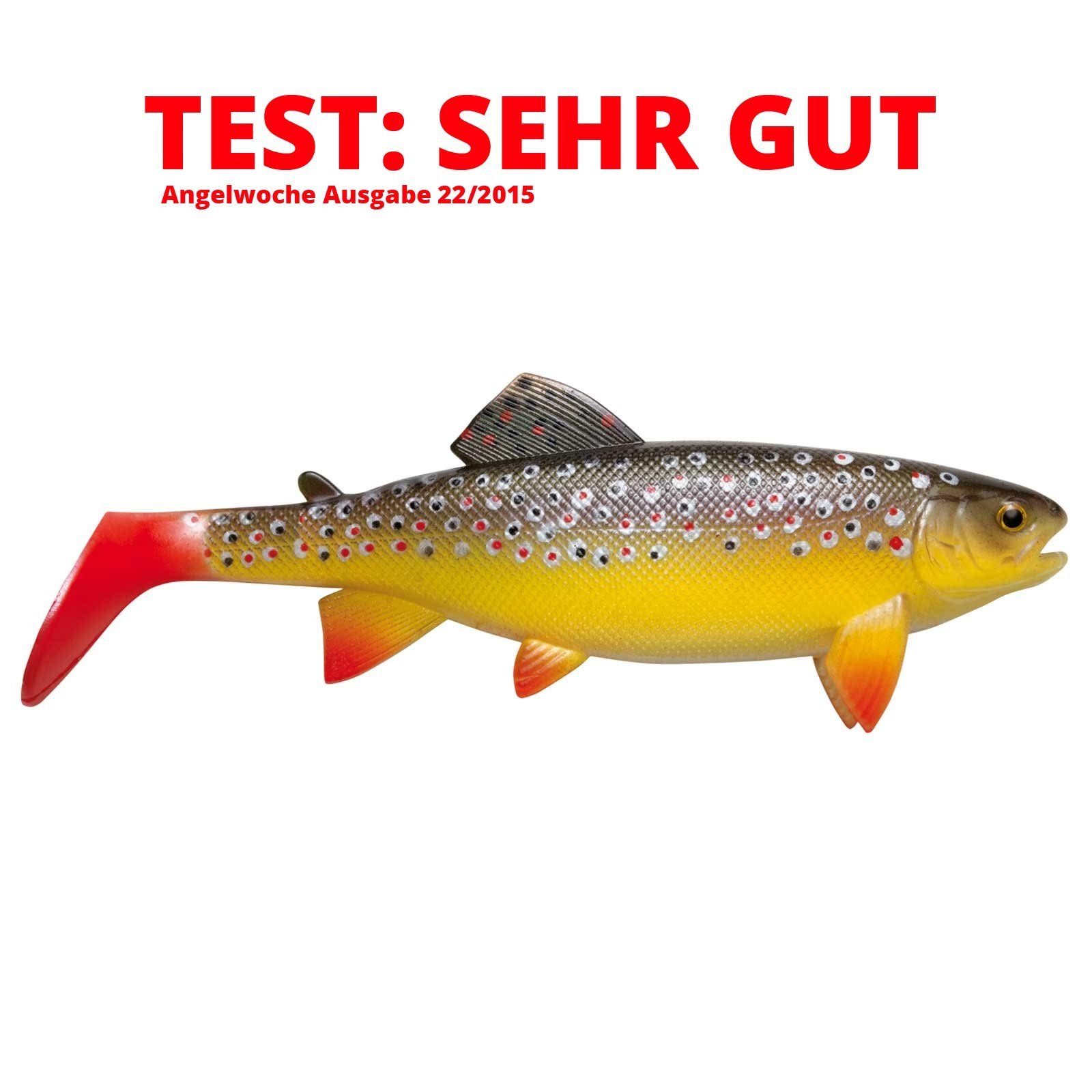 Jackson Fishing Kunstköder, Jackson The Trout 23cm Brown Trout Gummifisch