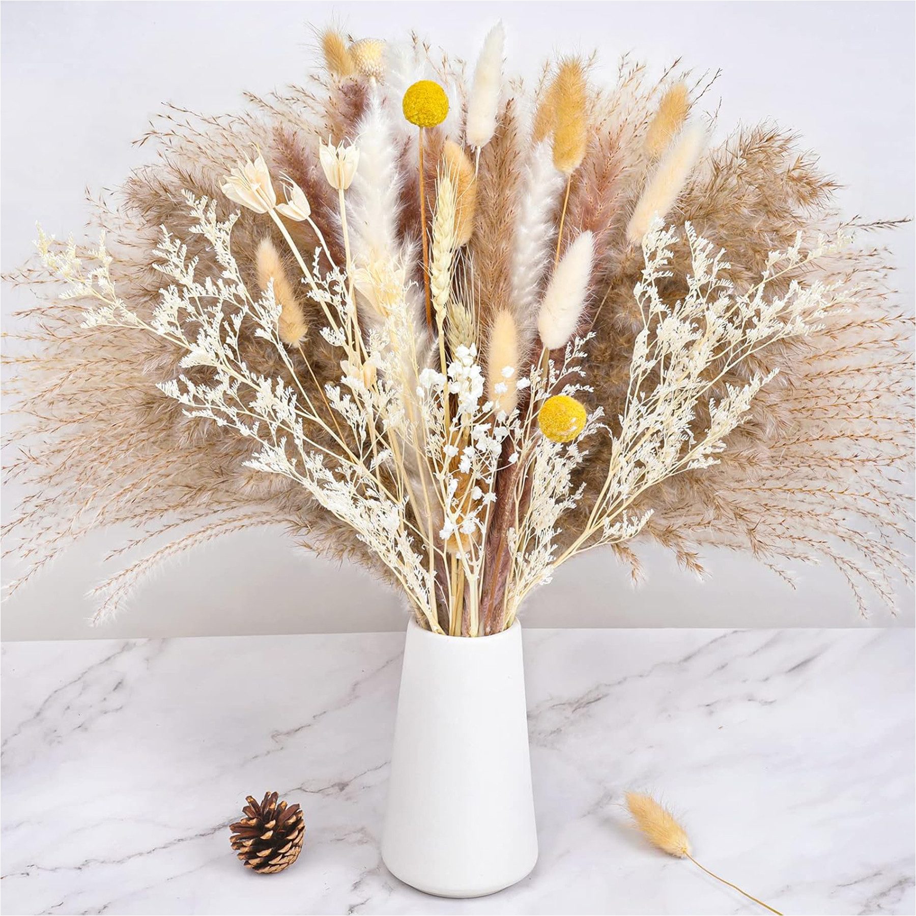 Trockenblume 120 Stück Pampasgras Getrocknet Natürliche Trockenblumen Deko günstig online kaufen