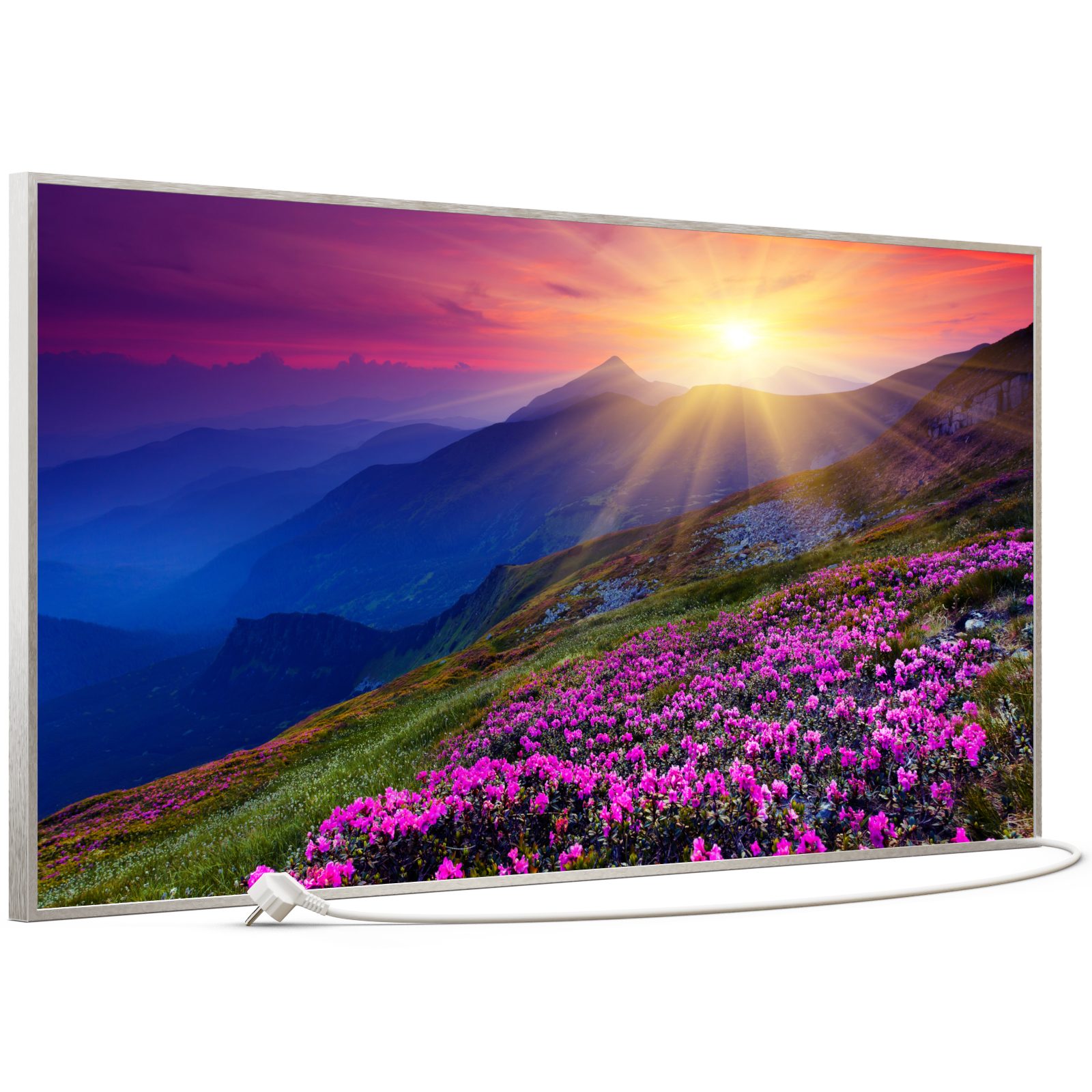 STEINFELD Heizsysteme Infrarotheizung, Bild, 750W 120x60cm, günstig online kaufen
