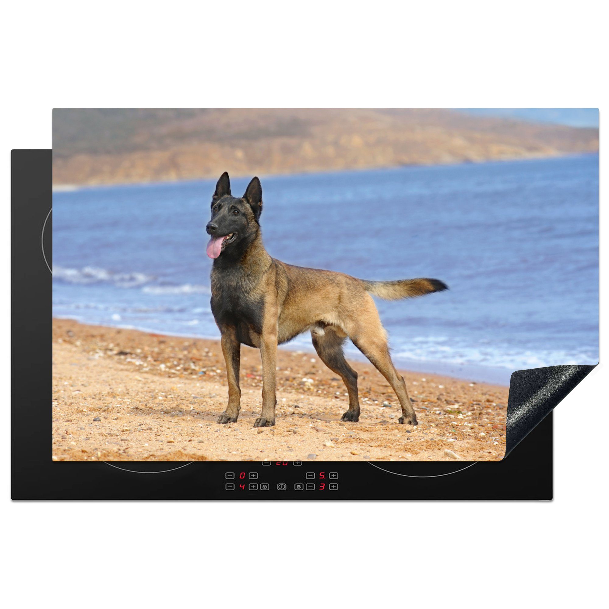 MuchoWow Herdblende-/Abdeckplatte Malinois Schäferhund am Strand, Vinyl, (1 tlg), 81x52 cm, Induktionskochfeld Schutz für die küche, Ceranfeldabdeckung