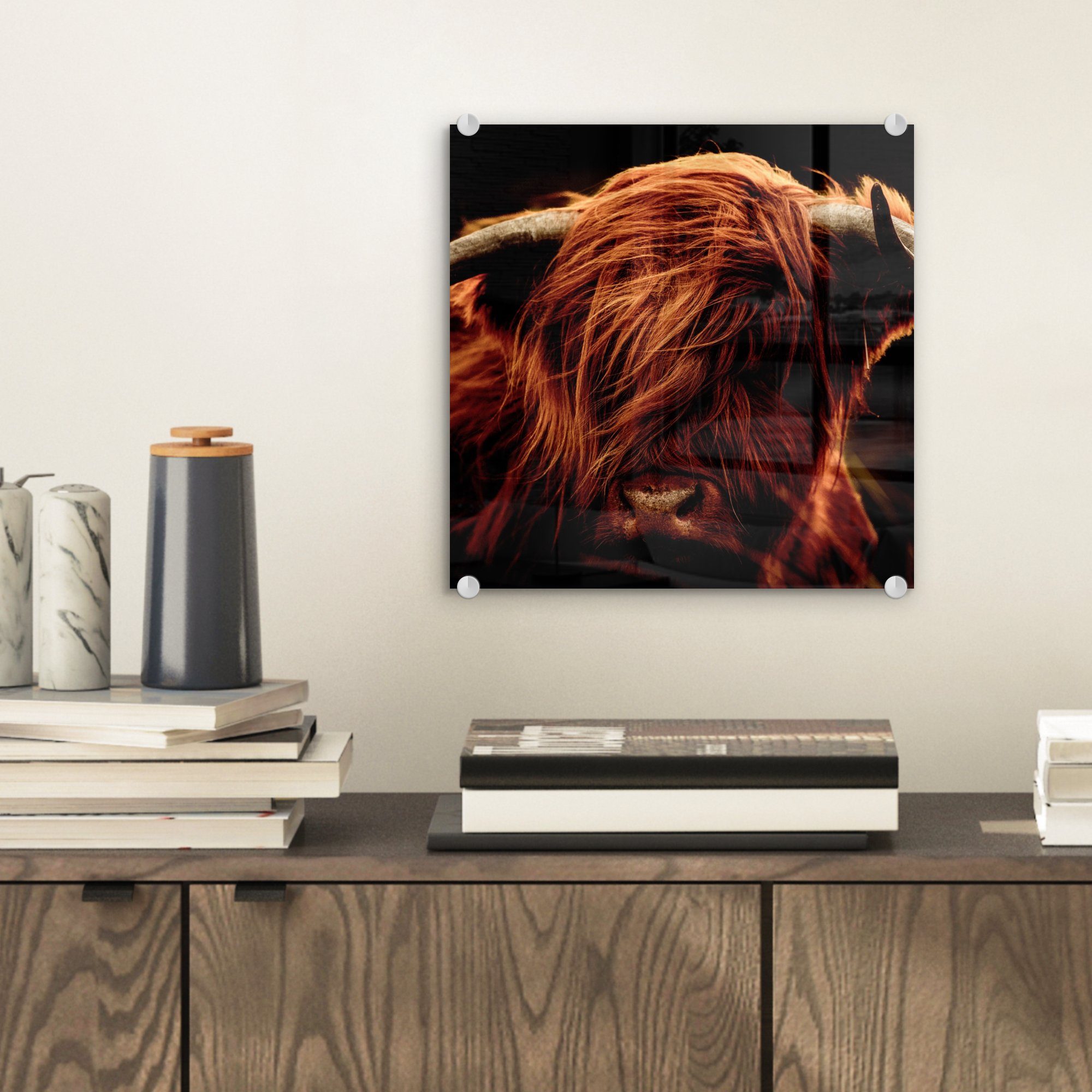 MuchoWow Acrylglasbild Schottischer Highlander - Kuh günstig online kaufen