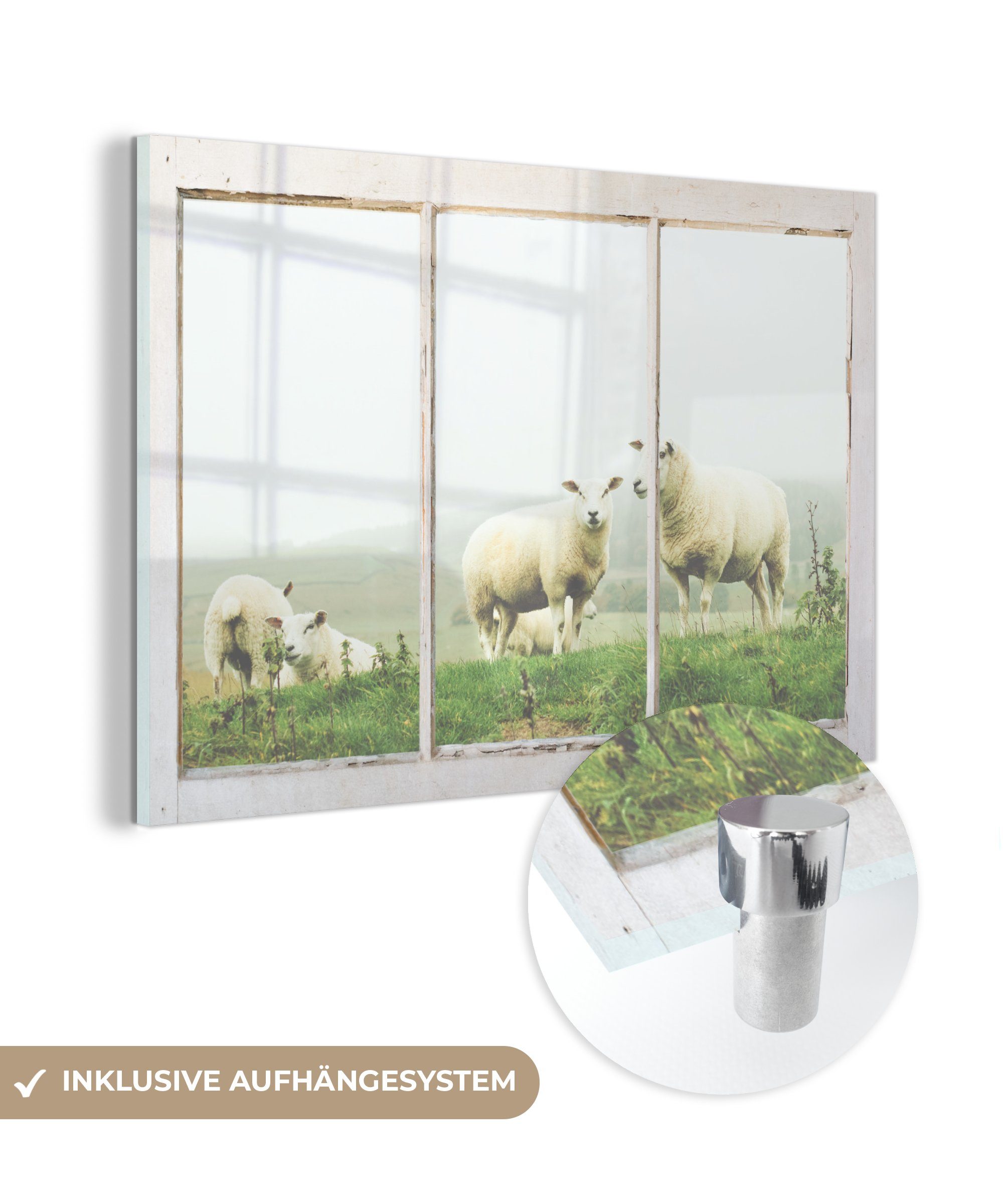 Glasbilder MuchoWow Wanddekoration St), Wandbild Gras, auf Glas Foto Acrylglasbild - - (1 Schafe - Glas - - Bilder Durchschauen auf