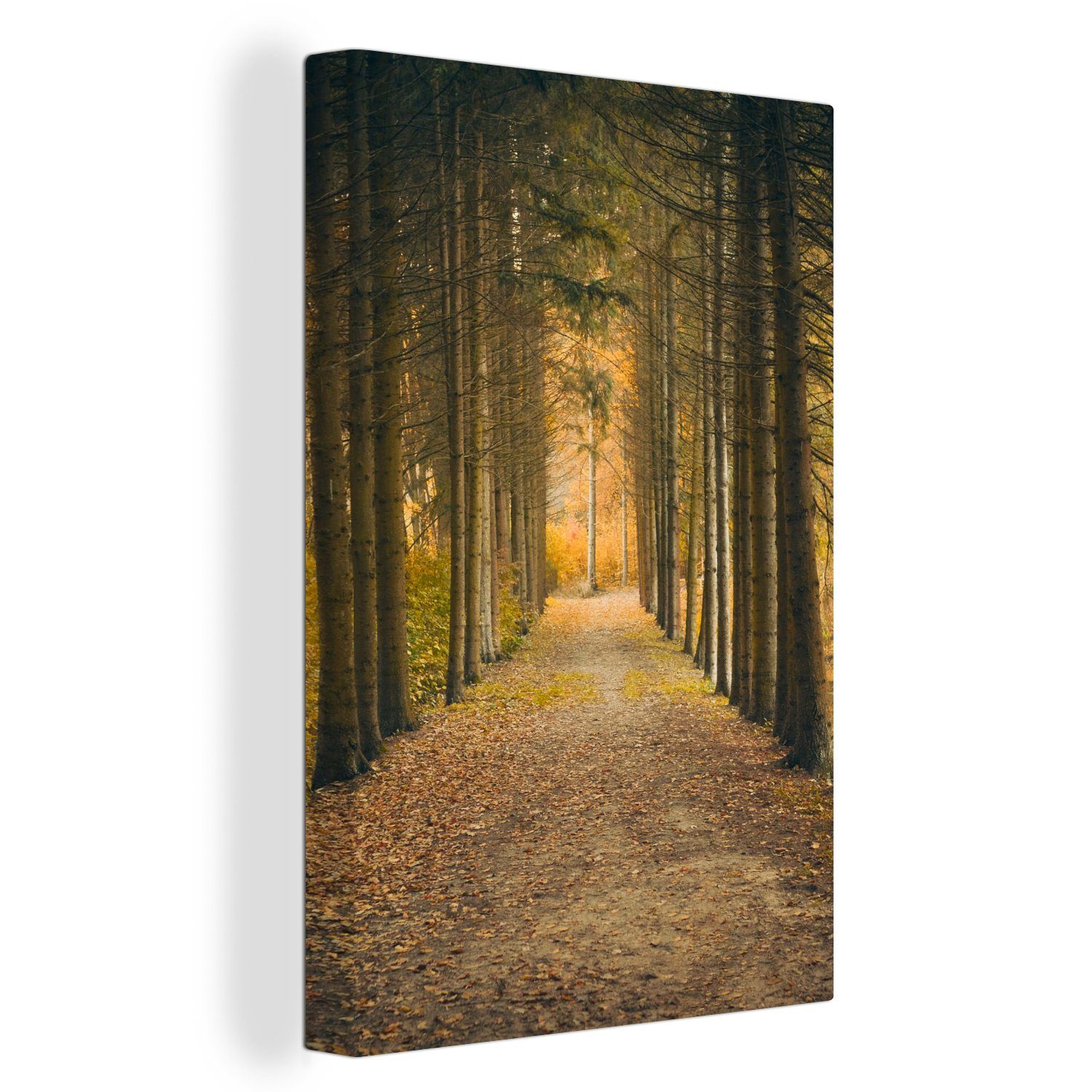 Wald Bild Leinwand: The Ultimate Guide to Unlocking Your Artistic Potential