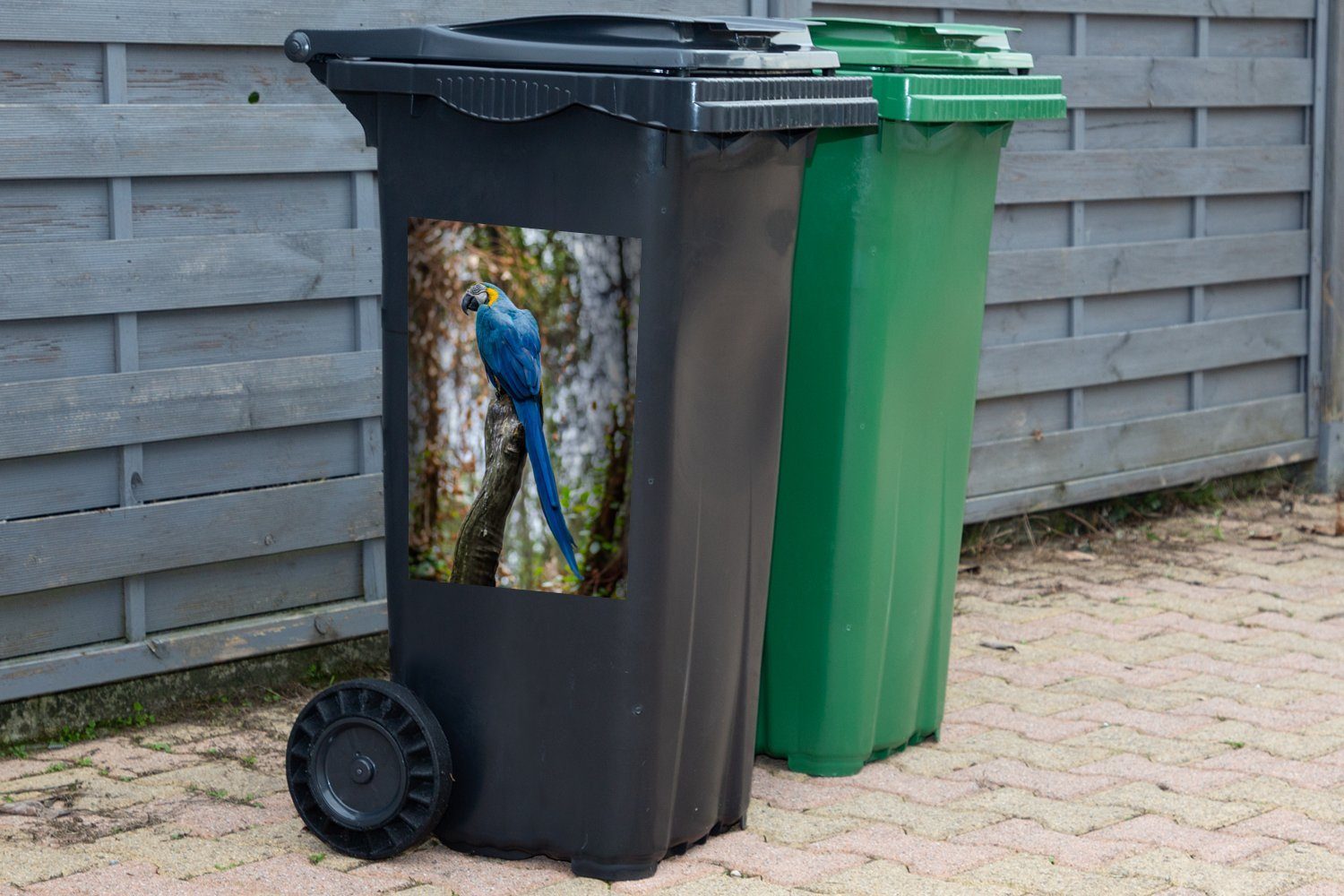 Wandsticker Papagei Abfalbehälter - Container, Blau MuchoWow Mülleimer-aufkleber, Mülltonne, (1 St), Vogel Sticker, -