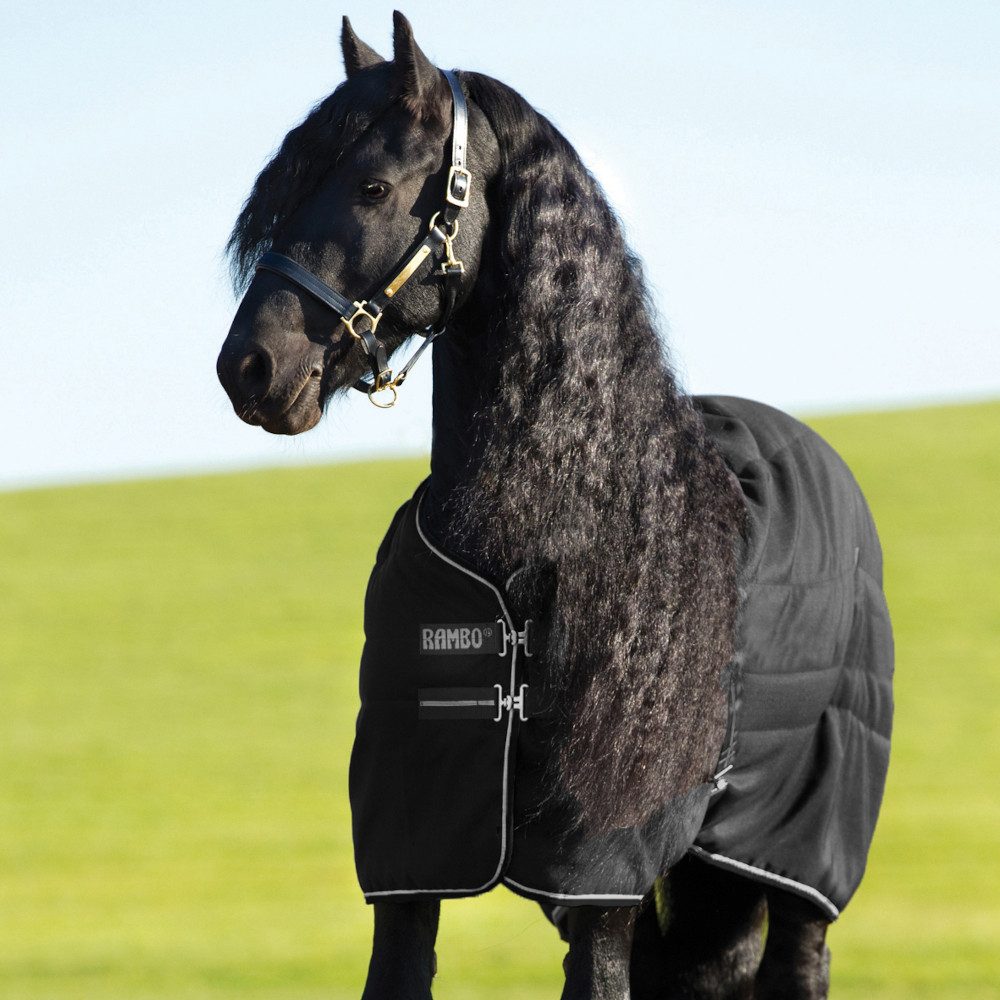 Pferde-Stalldecke Horseware Rambo Stable 200g