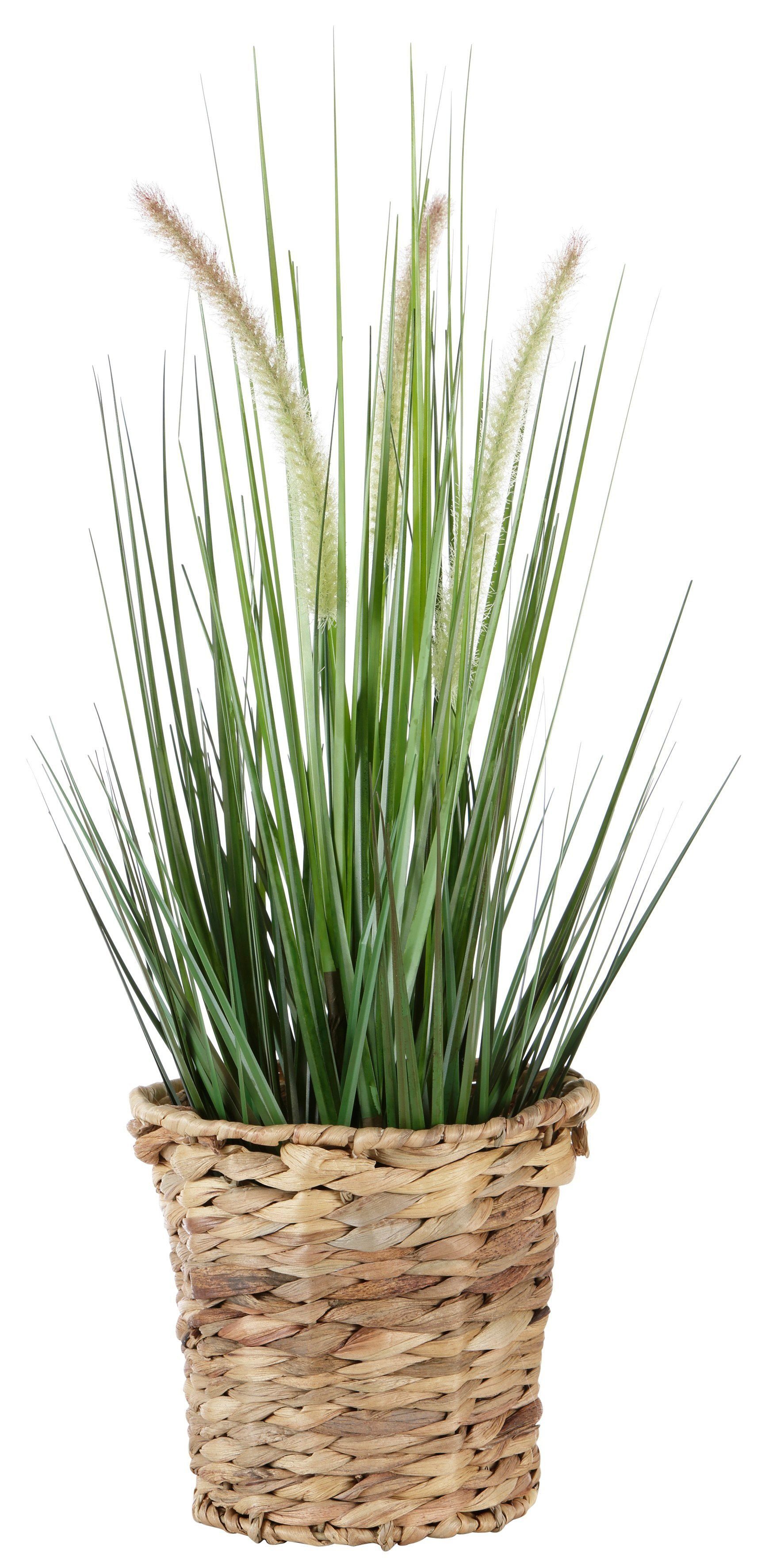 Kunstpflanze Gras Fuchsschwanzgras, I.GE.A., Höhe 90 günstig online kaufen