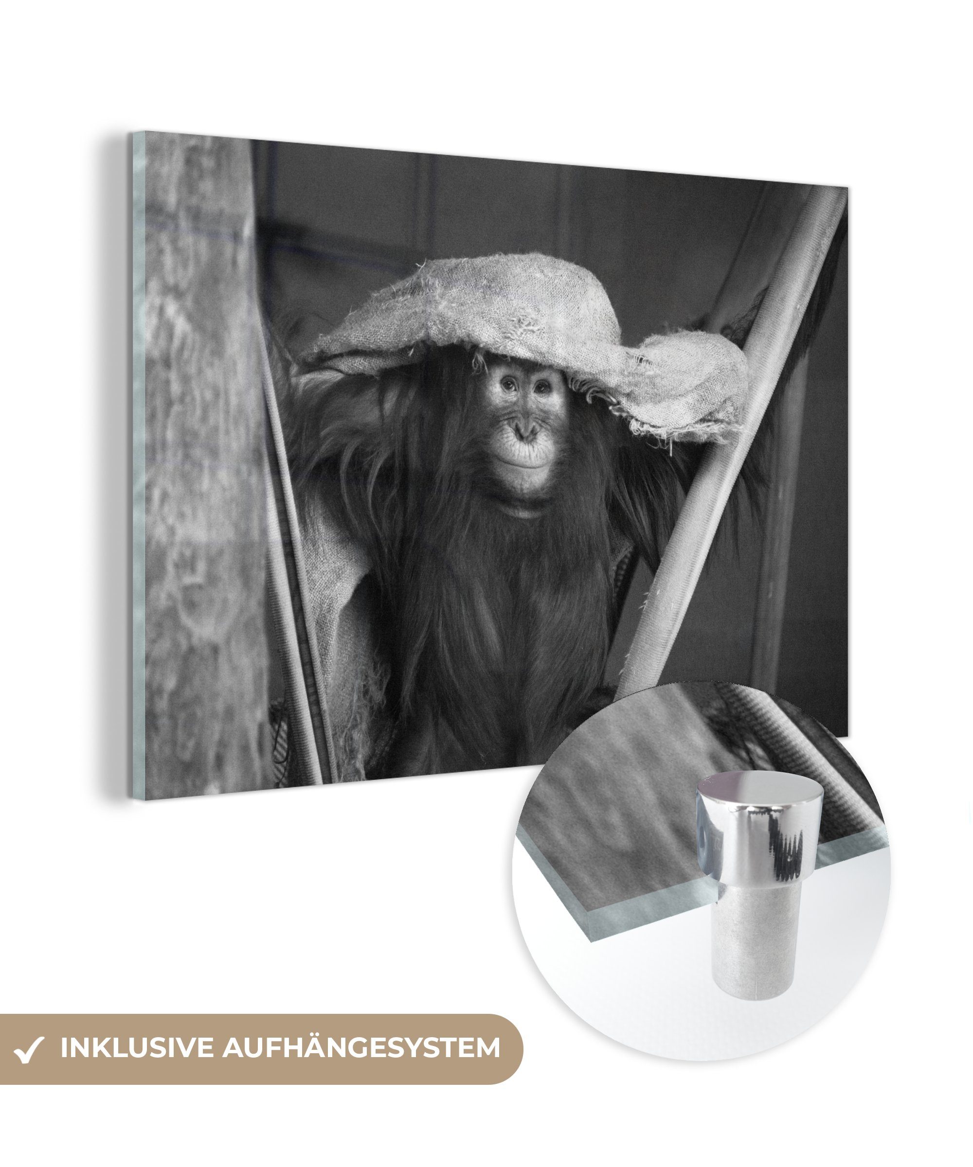 MuchoWow Acrylglasbild Orang-Utan spielt mit Handtuch, (1 St), Acrylglasbilder Wohnzimmer & Schlafzimmer
