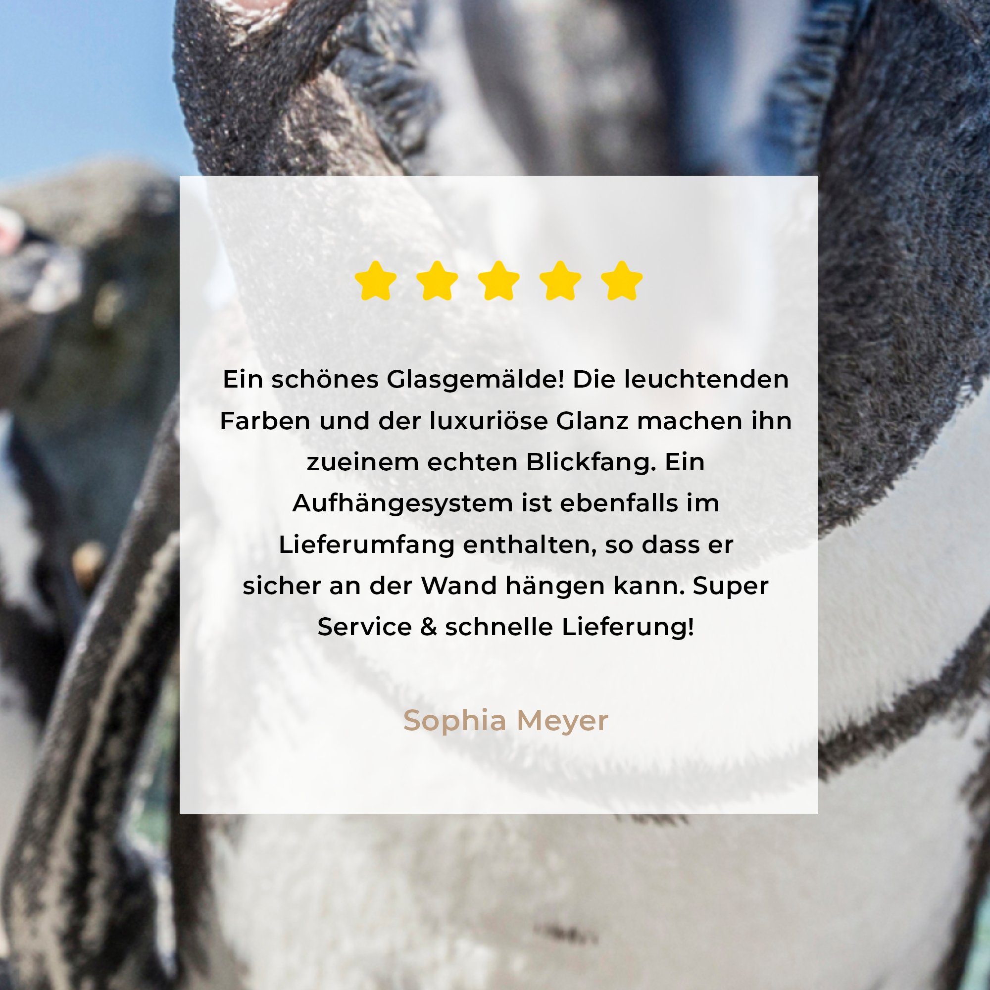 MuchoWow Acrylglasbild auf St), Beach, Nahaufnahme am Pinguins - (1 - Glas Glasbilder Wanddekoration - Foto Bilder auf Boulders afrikanischen Glas eines Wandbild