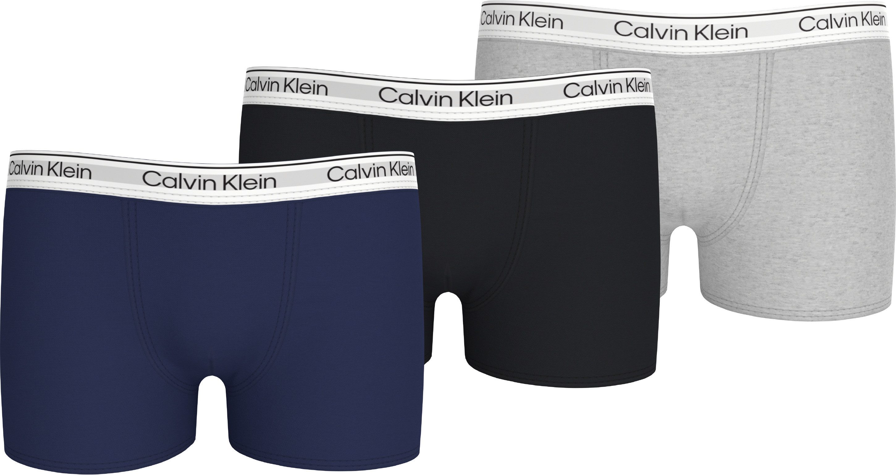 Calvin Klein Underwear Trunk 3PK TRUNK günstig online kaufen