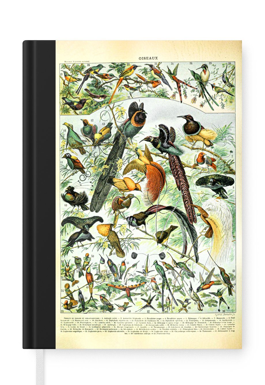 MuchoWow Notizbuch Vögel - Notizheft, Journal, A5, Haushaltsbuch 98 Natur - Tiere, Merkzettel, Tagebuch, Seiten