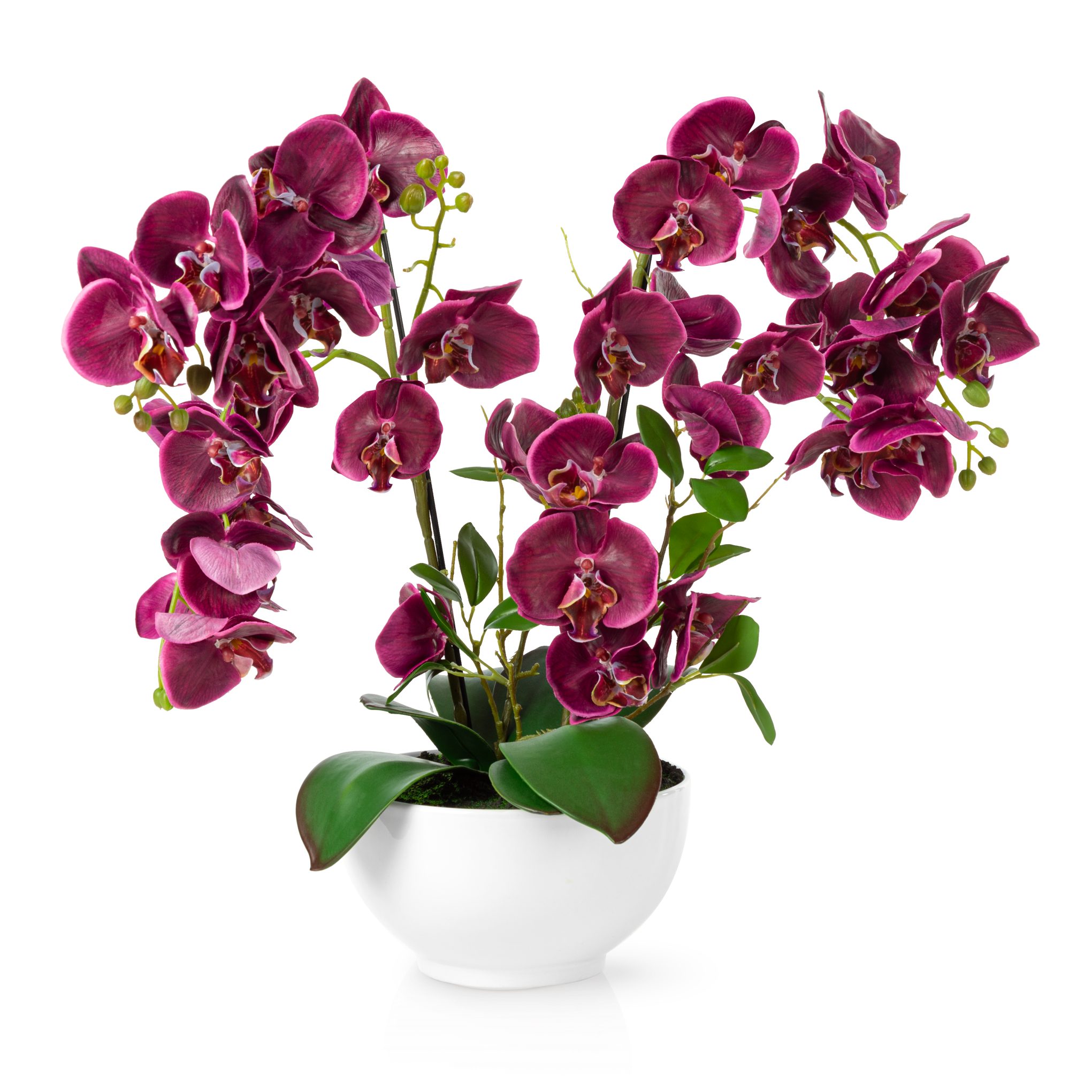 Kunstorchidee PASCH® XXL Orchidee künstlich wie echt (56cm) in Hochglanz-Ke günstig online kaufen