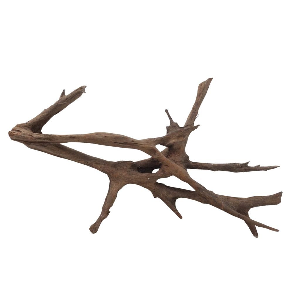 Aquaone Aquarium XXL Mangrovenwurzel Nr.3016 Holz Deko Aquascaping