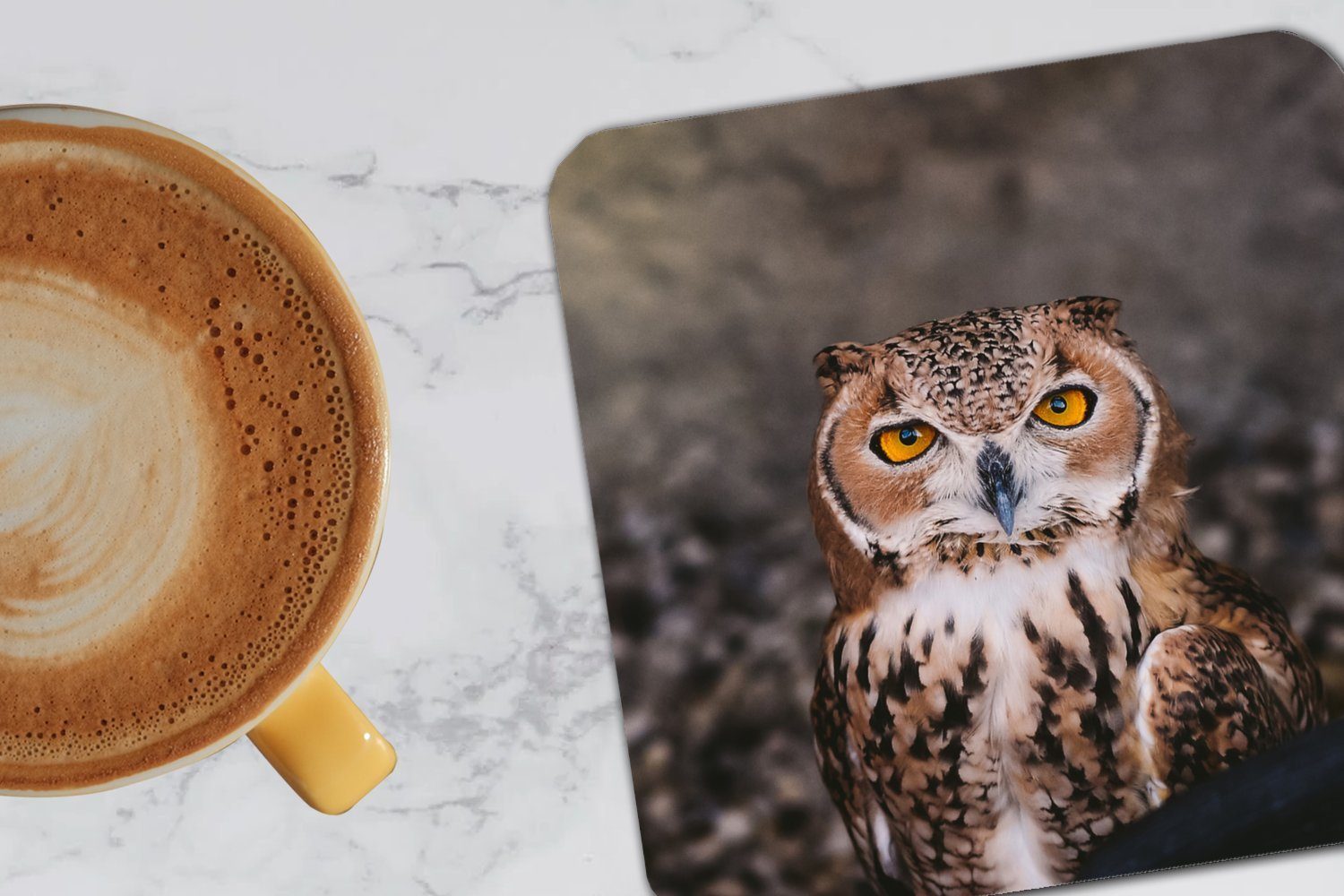 Glasuntersetzer Tiere, Gläser, 6-tlg., Tischuntersetzer, für Braune - Tasse Untersetzer, Glasuntersetzer, Korkuntersetzer, Eule Vogel MuchoWow Zubehör -