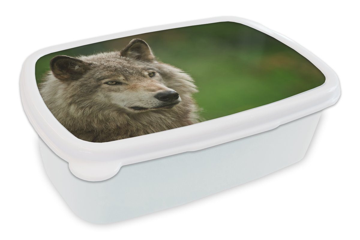 MuchoWow Lunchbox Wolf Kunststoff, (2-tlg), Jungs Erwachsene, - Mädchen Fell, für Brotdose, Kinder - und Brotbox weiß und Grau für