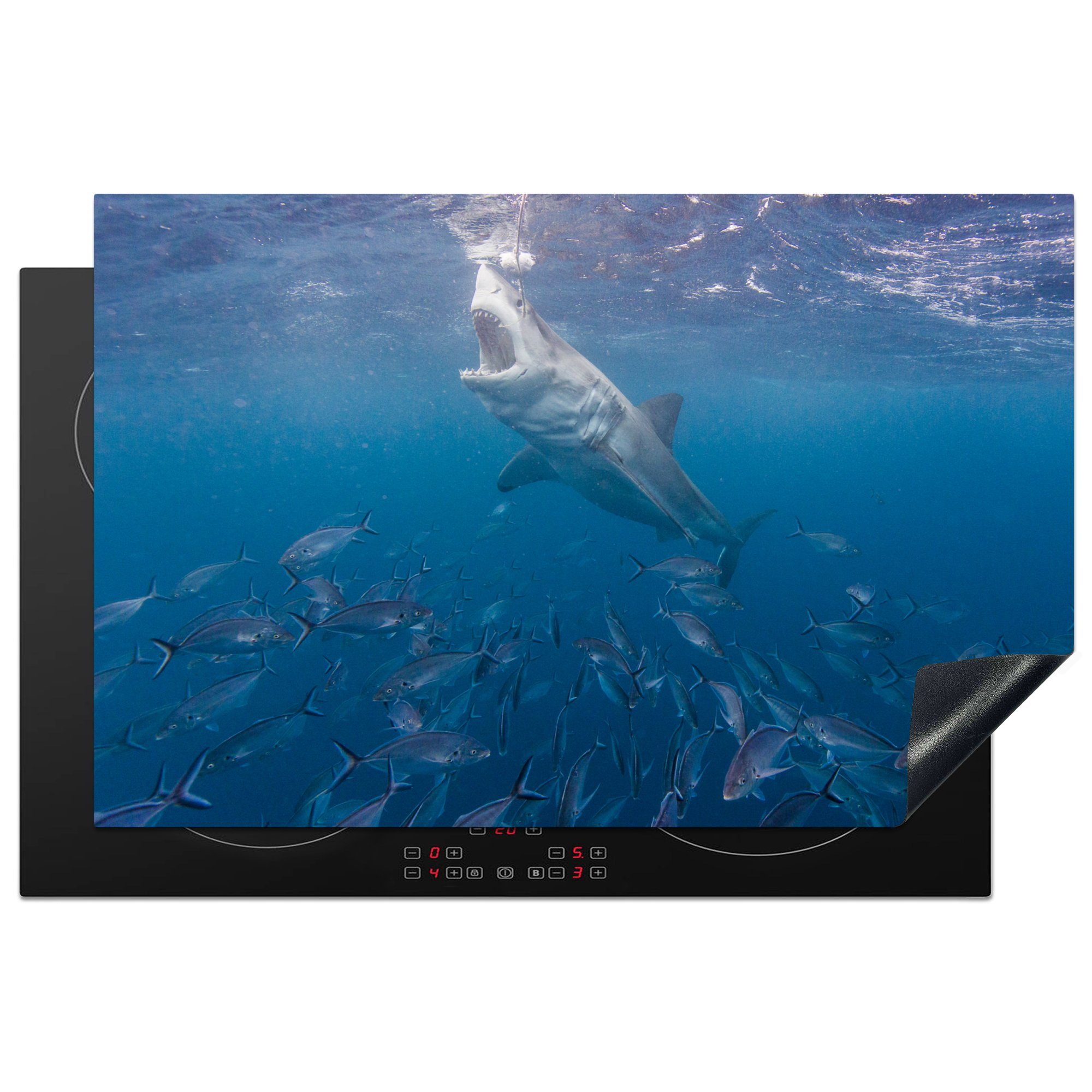 MuchoWow Herdblende-/Abdeckplatte Ein großer weißer Hai am Rande des Wassers, Vinyl, (1 tlg), 81x52 cm, Induktionskochfeld Schutz für die küche, Ceranfeldabdeckung