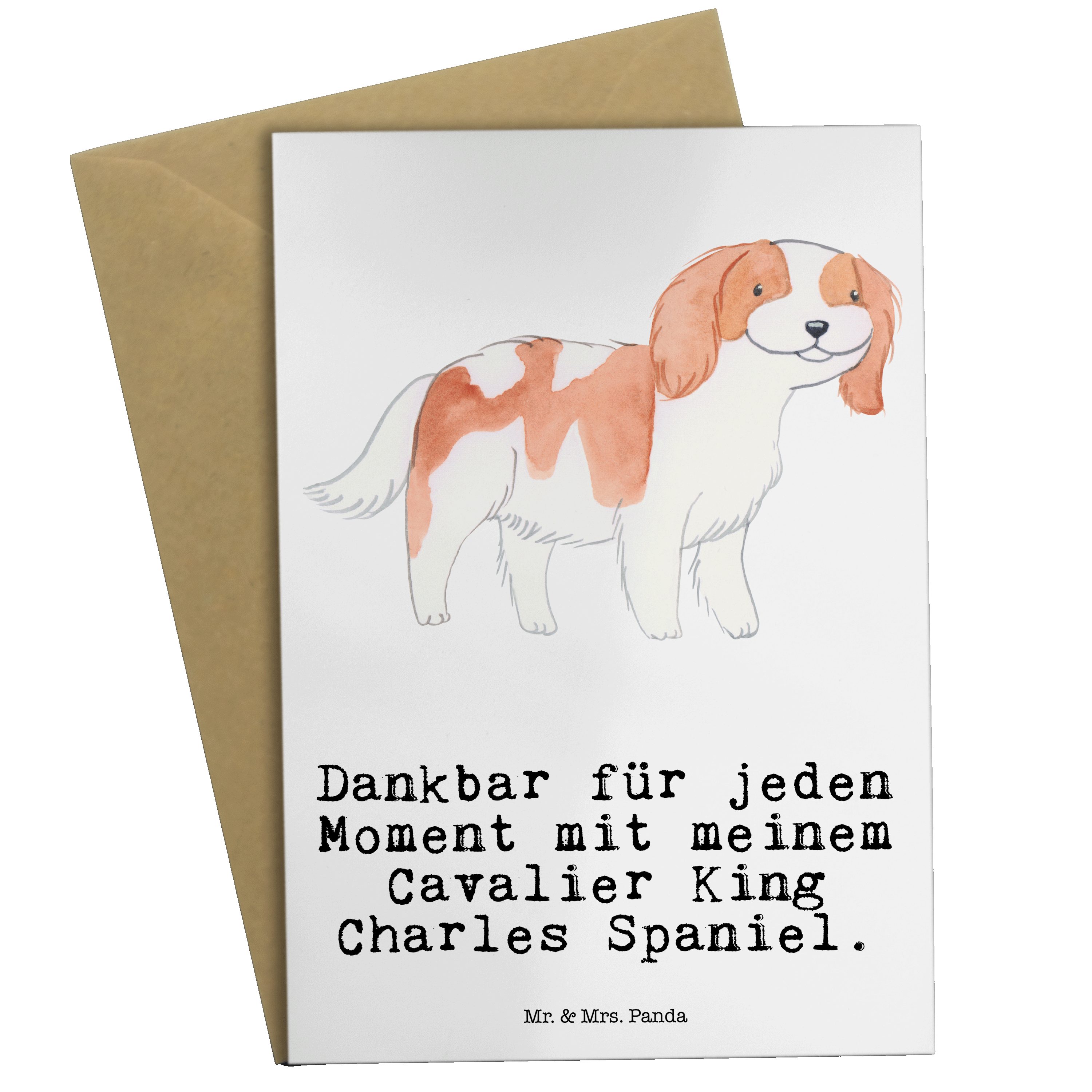 Geschenk, Glückwunschka Weiß & Spaniel Charles Grußkarte Mrs. - Cavalier Mr. Panda Moment - King