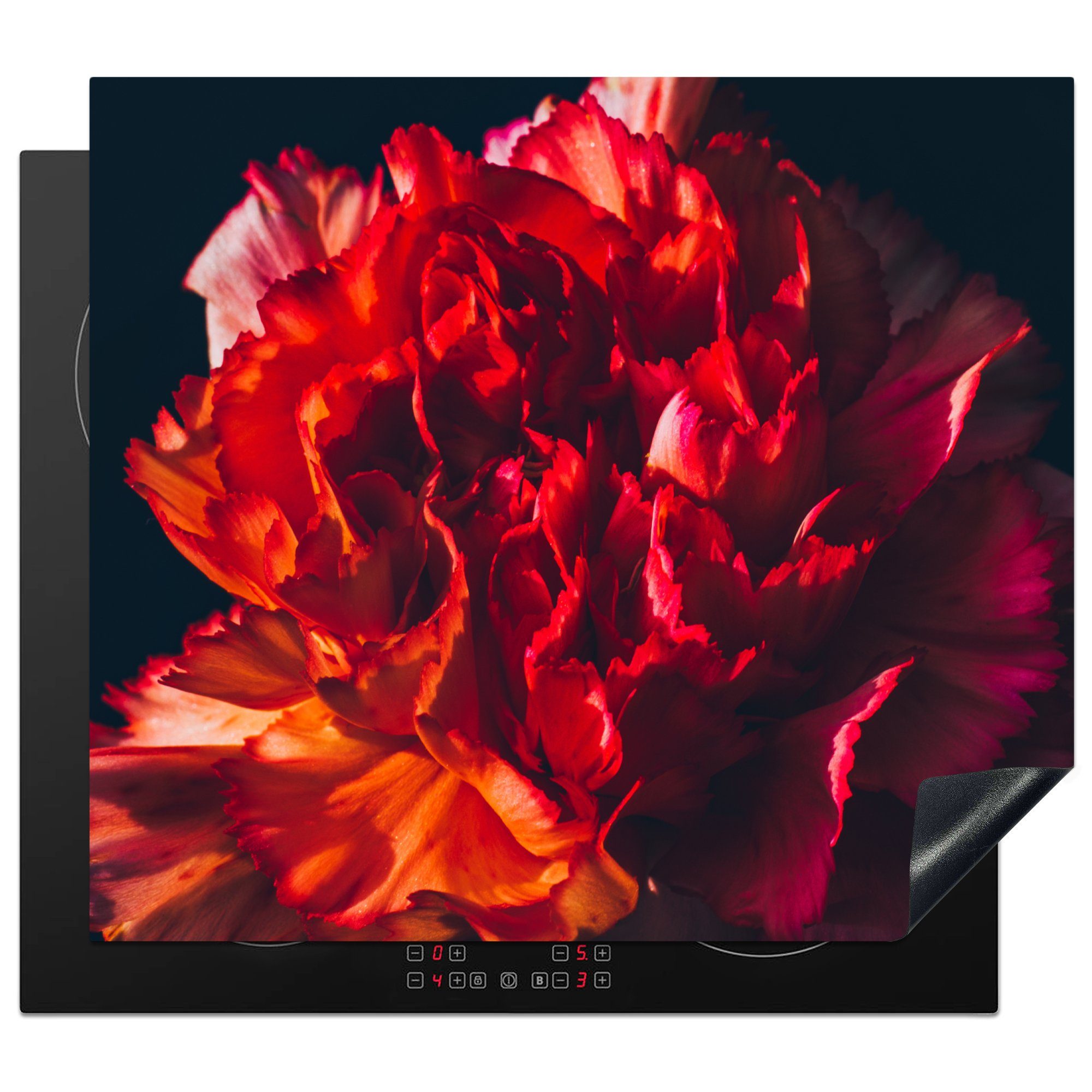 MuchoWow Herdblende-/Abdeckplatte Gartennelke - Blume - rot, Vinyl, (1 tlg), 59x52 cm, Ceranfeldabdeckung für die küche, Induktionsmatte