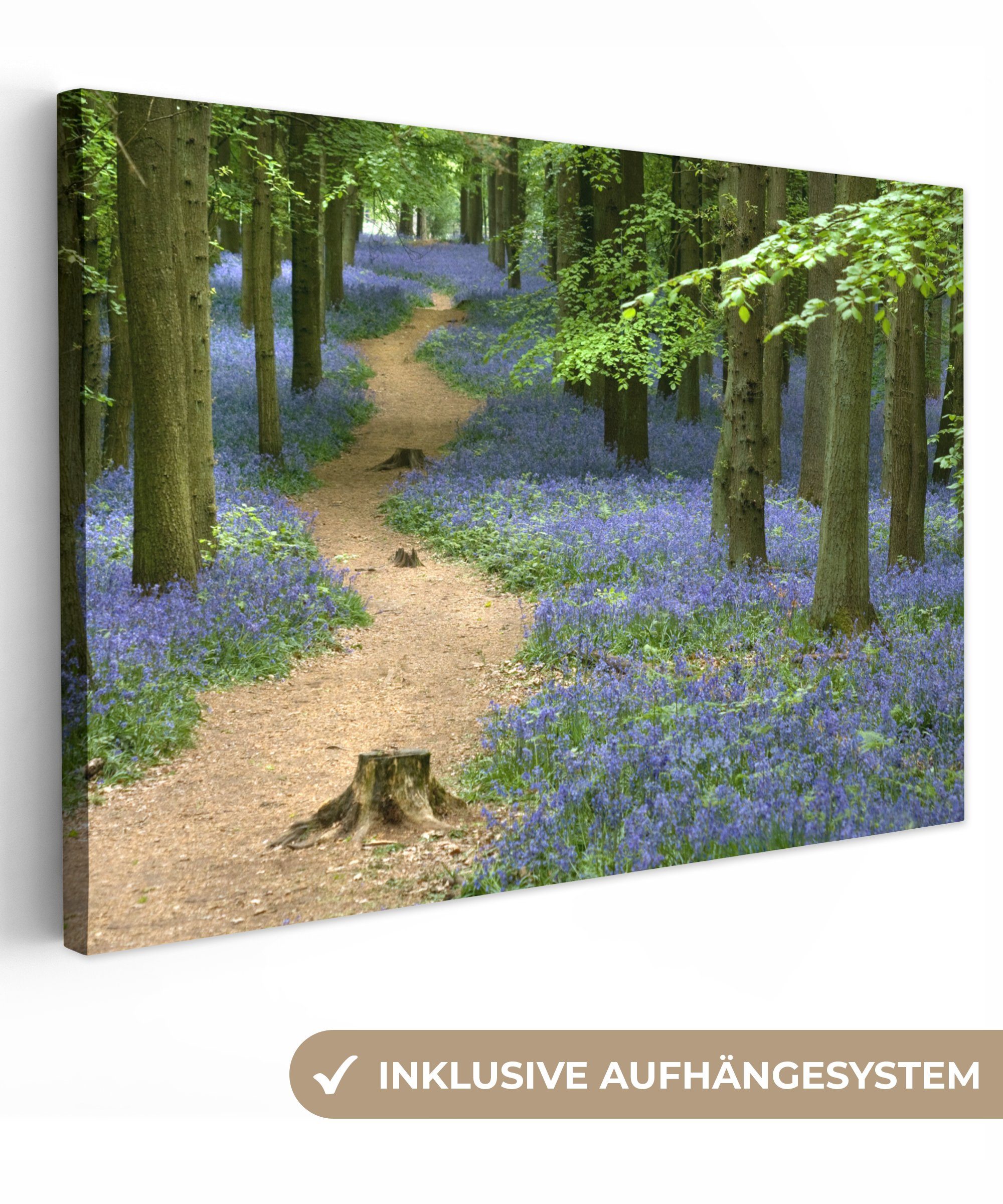 OneMillionCanvasses® Leinwandbild Wald - Weg - Blumen - Blau, (1 St), Wandbild Leinwandbilder, Aufhängefertig, Wanddeko, 30x20 cm bunt