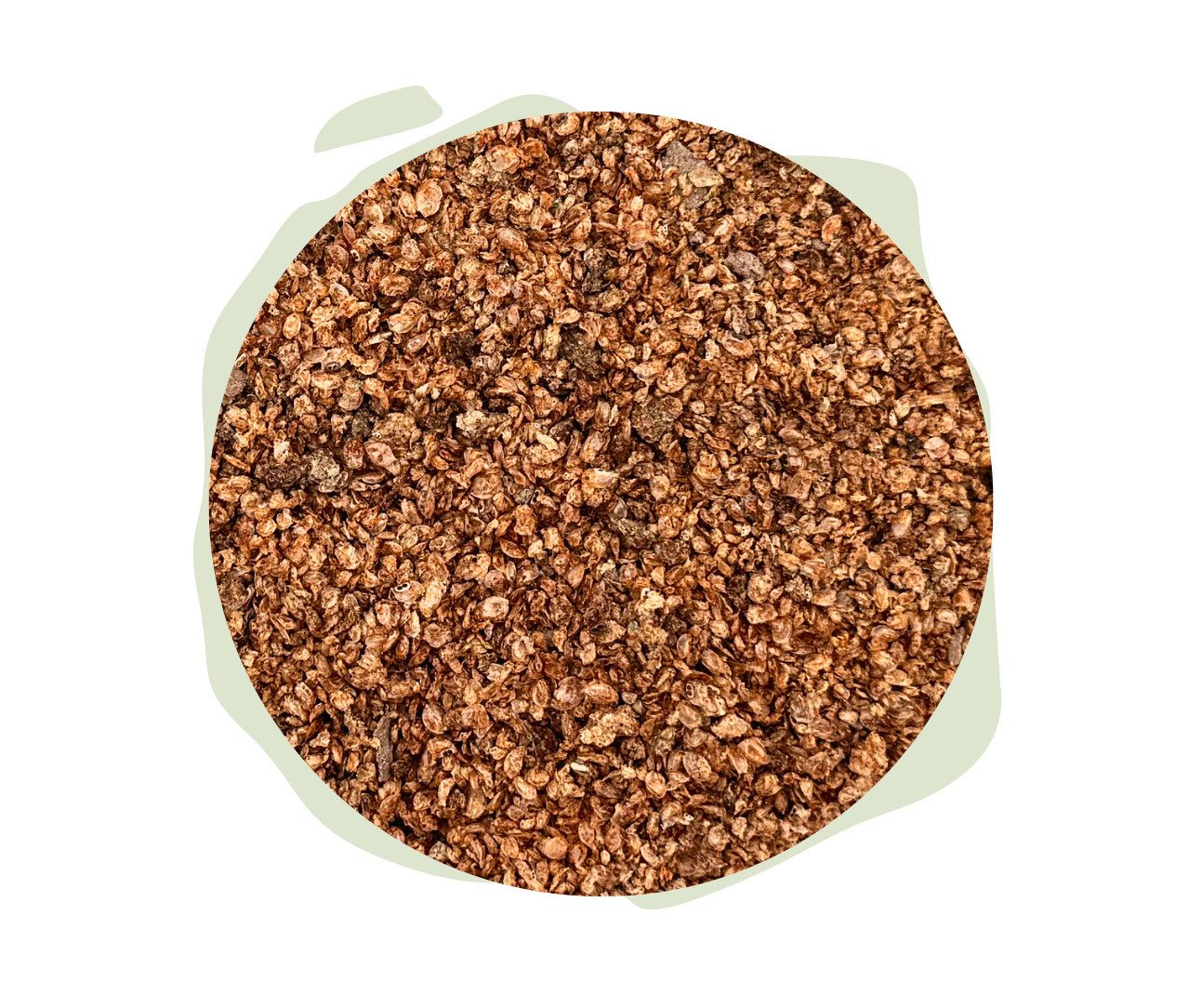 Warnick´s Tierfutterservice Daphnia (Wasserflöhe) - Naturfutter für Zierfische, Garnelen & Krebse, Ergänzungsfutter für: Zierfische, Krebse, Garnelen