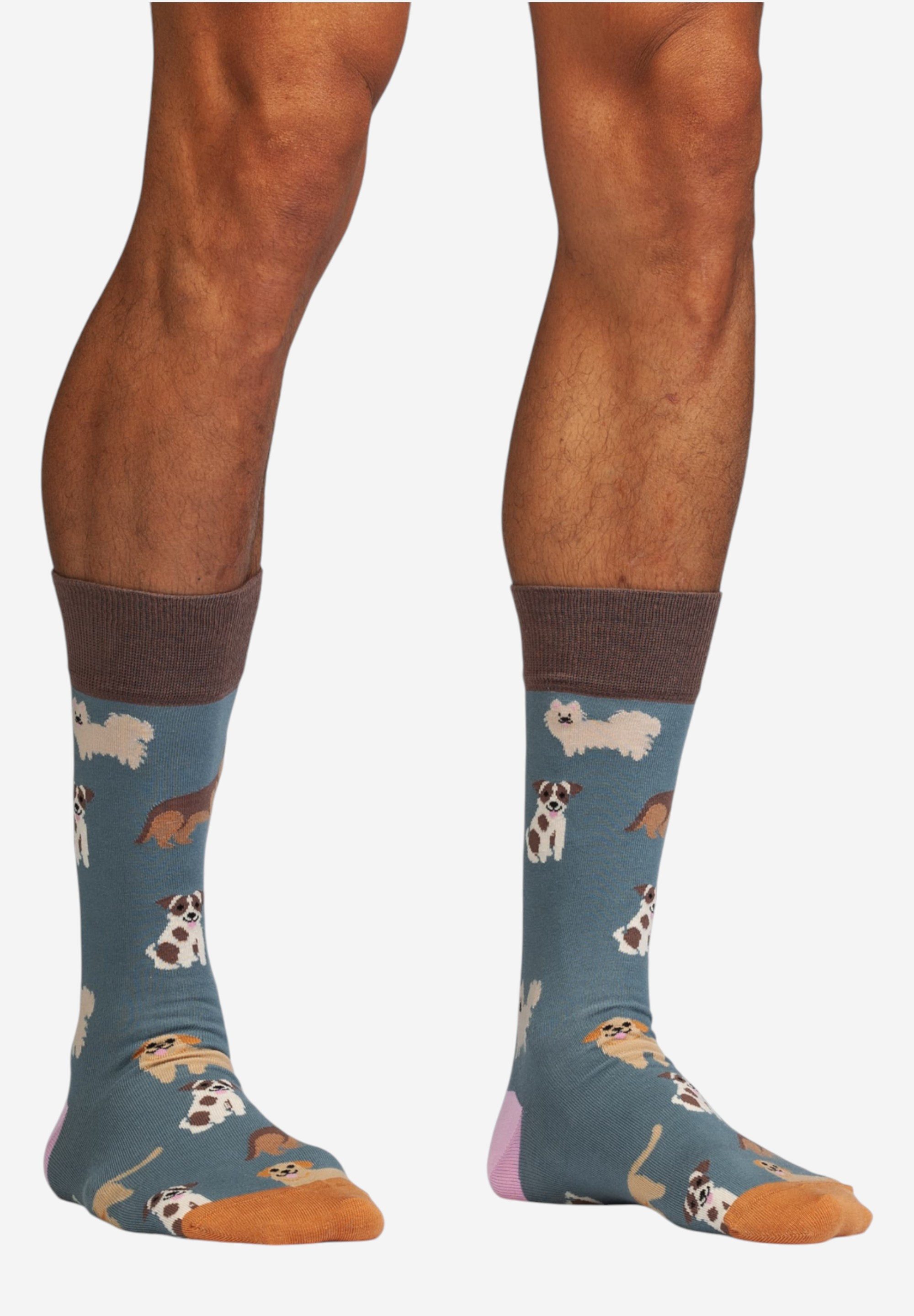 DillySocks Basicsocken Animal Attitude Aus Baumwolle & recyceltem Polyamid