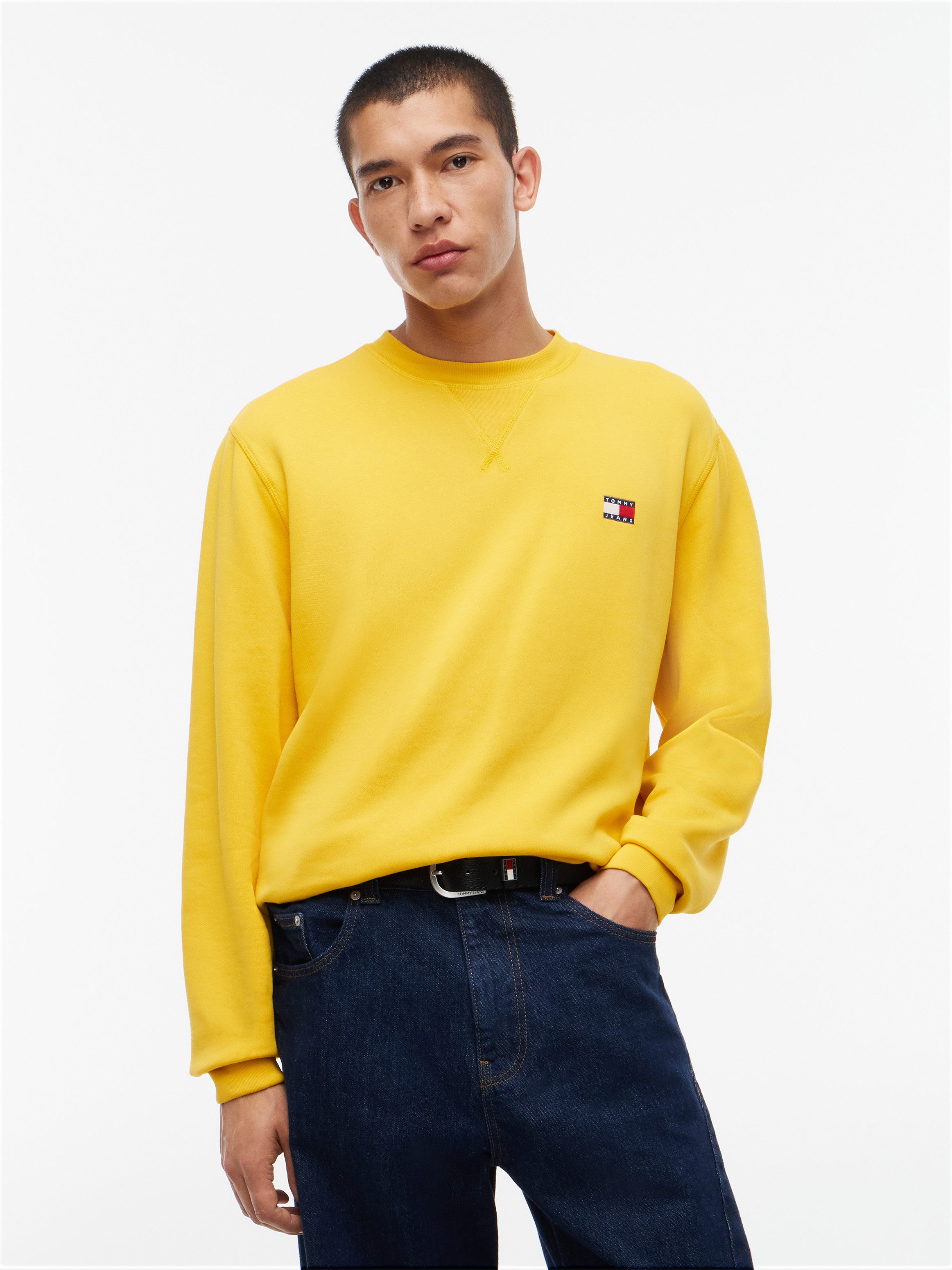 Tommy Jeans Sweatshirt REGULAR BADGE CREW Regular fit mit Rundhalsausschnitt