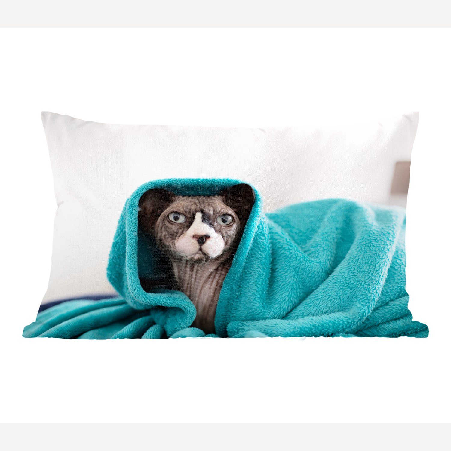 MuchoWow Dekokissen Sphynx-Katze unter einer blauen Decke, Wohzimmer Dekoration, Zierkissen, Dekokissen mit Füllung, Schlafzimmer | Dekokissen