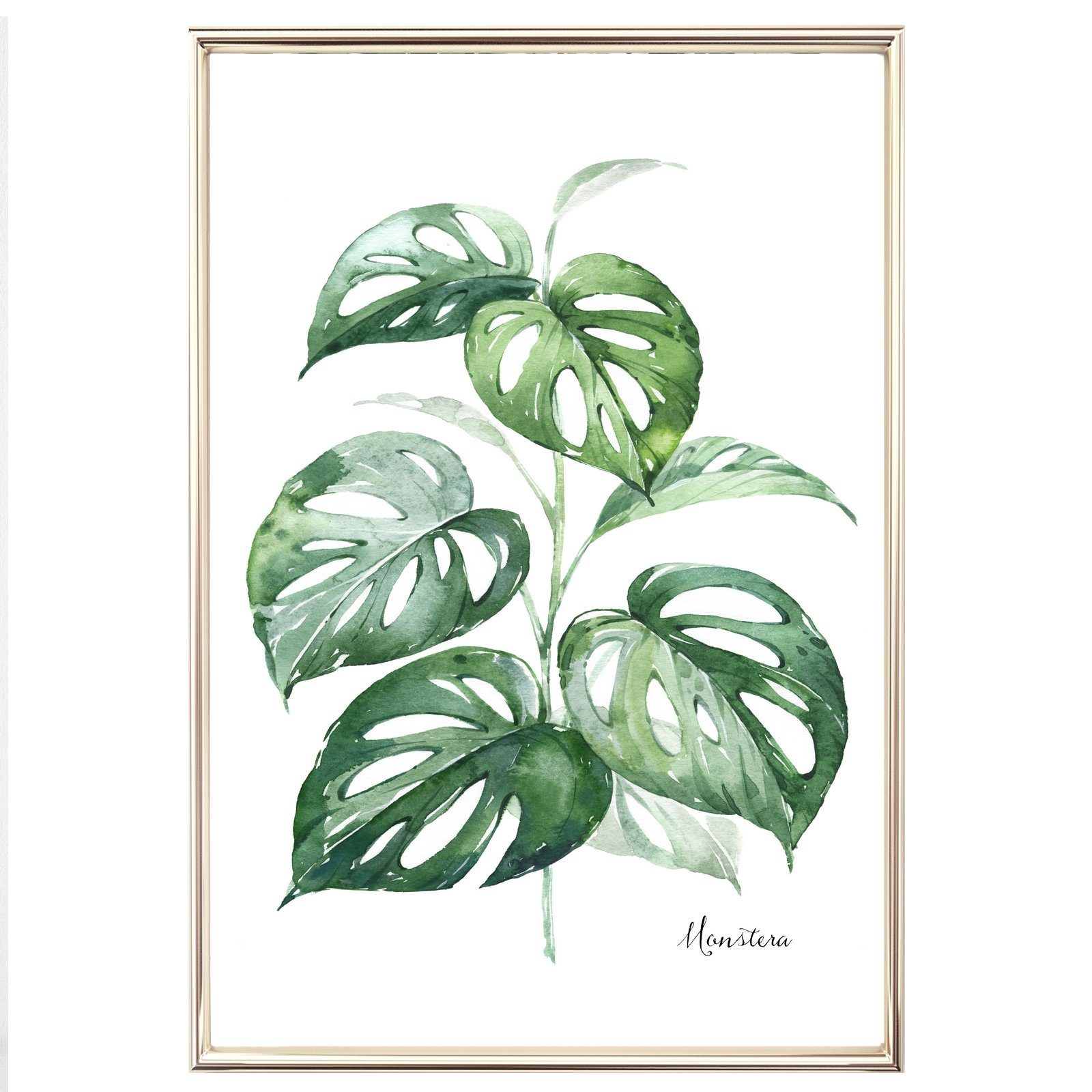 homestyle-accessoires Poster Bilderset GREENERYS MONSTERA 4er SET DIN A4 ODER DIN A3 Prints, - Ohne Bilderrahmen - sorgfältige & sichere Verpackung